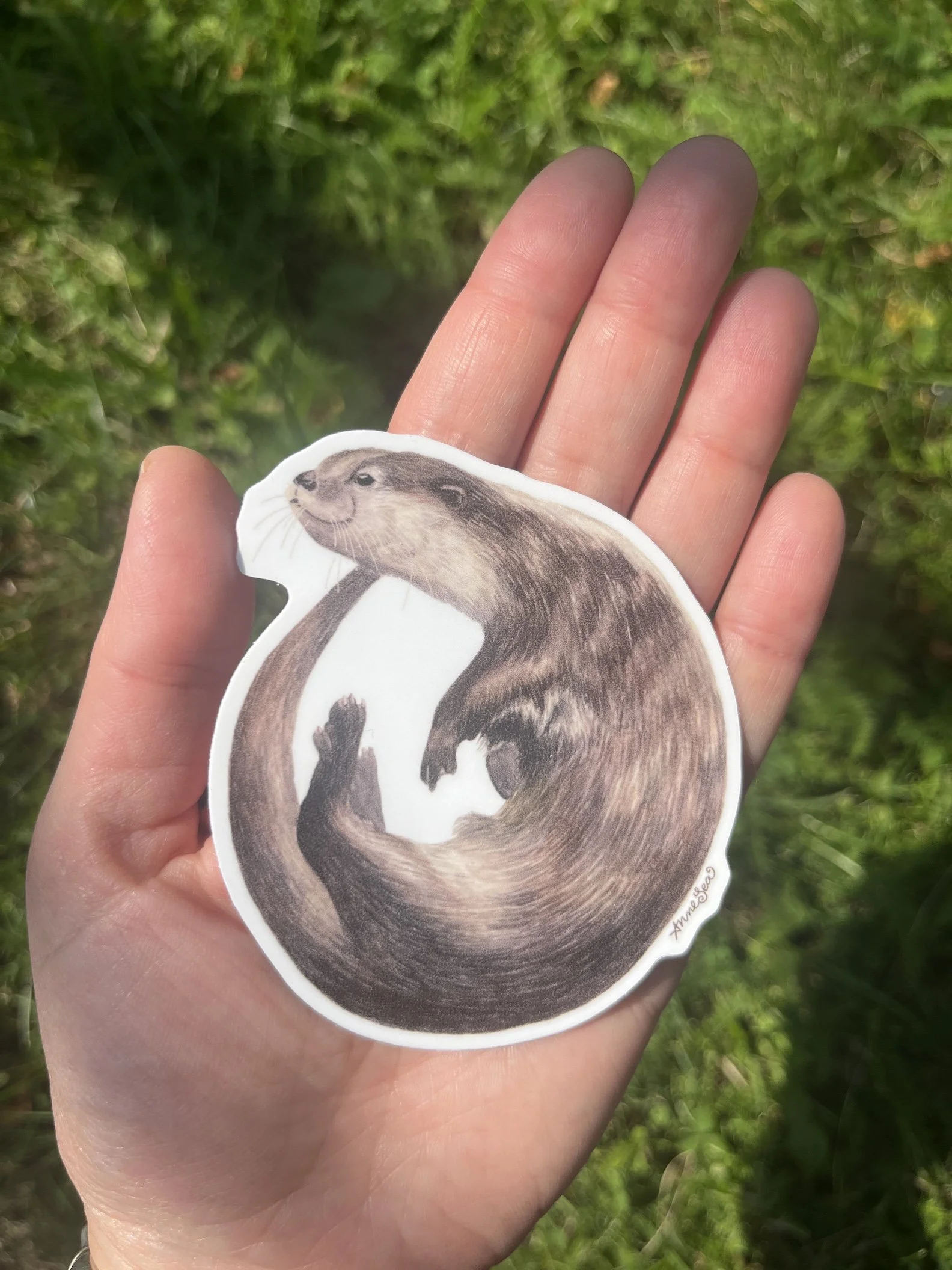 otter sticker.JPG