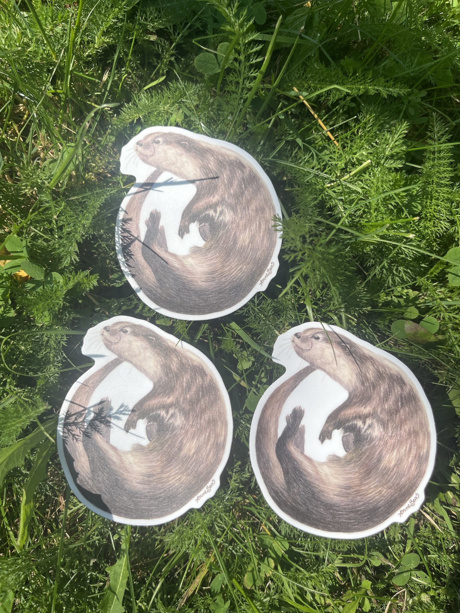 otter sticker3.JPG