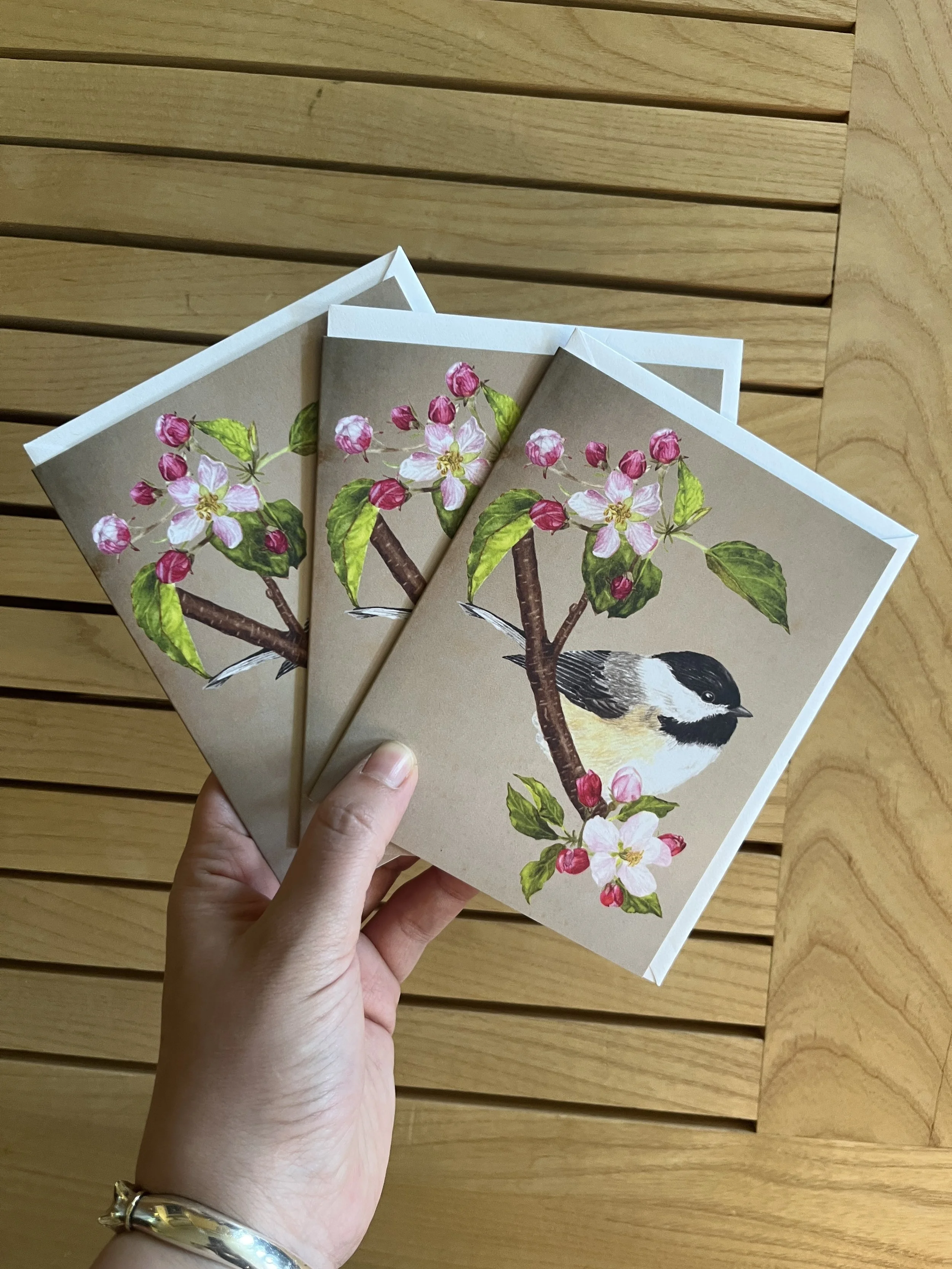 mesange 3 cartes.JPG