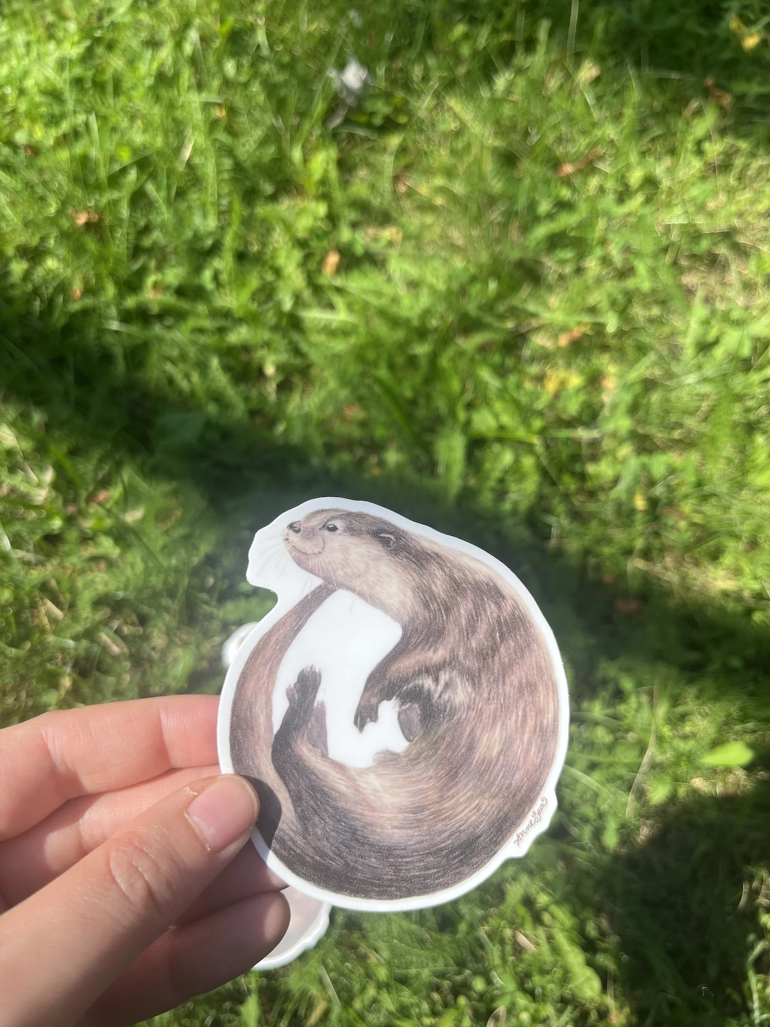 otter sticker2.JPG