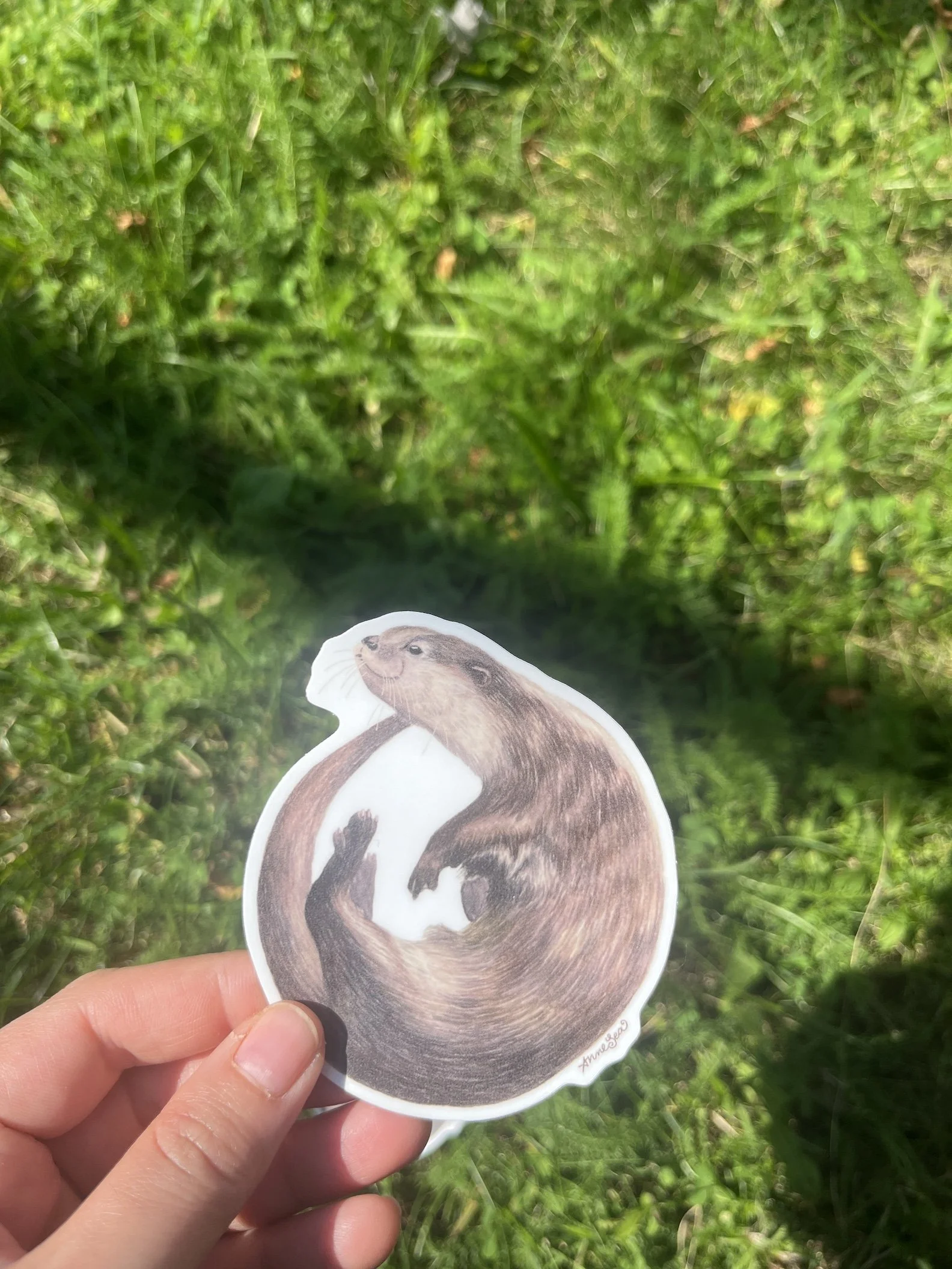 otter sticker5.JPG