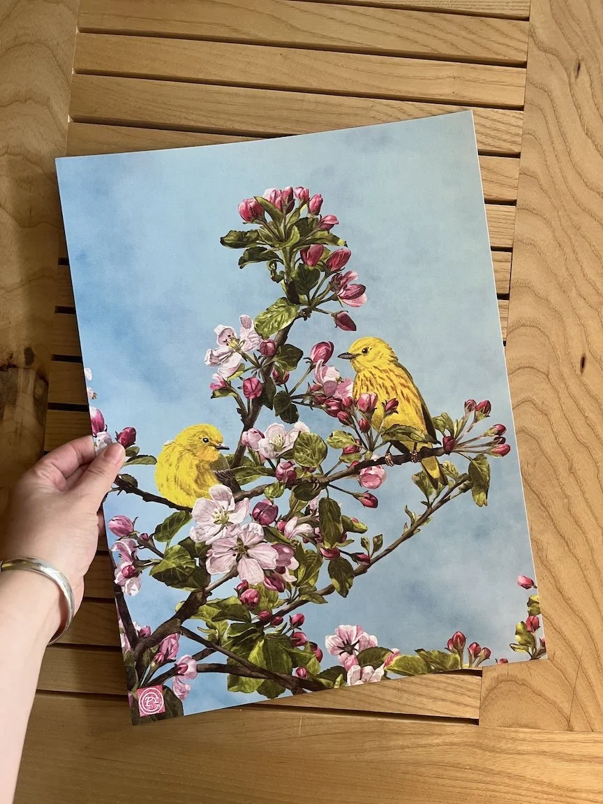 yellow warbler print.JPG