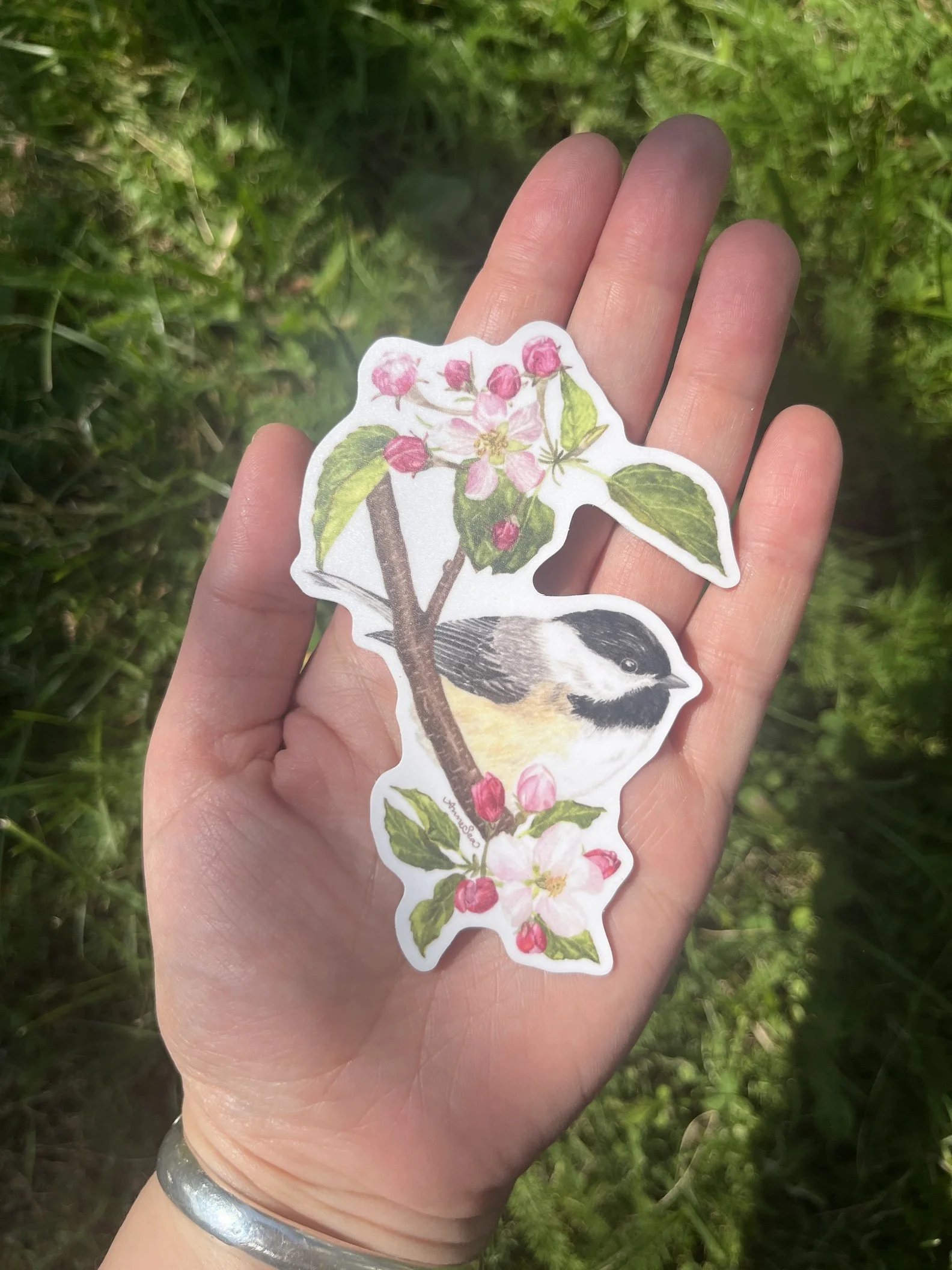 chickadee sticker.JPG