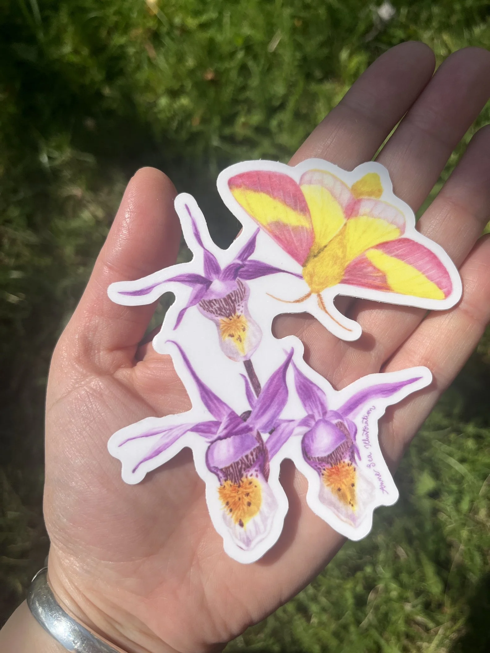 maple moth sticker 3.JPG