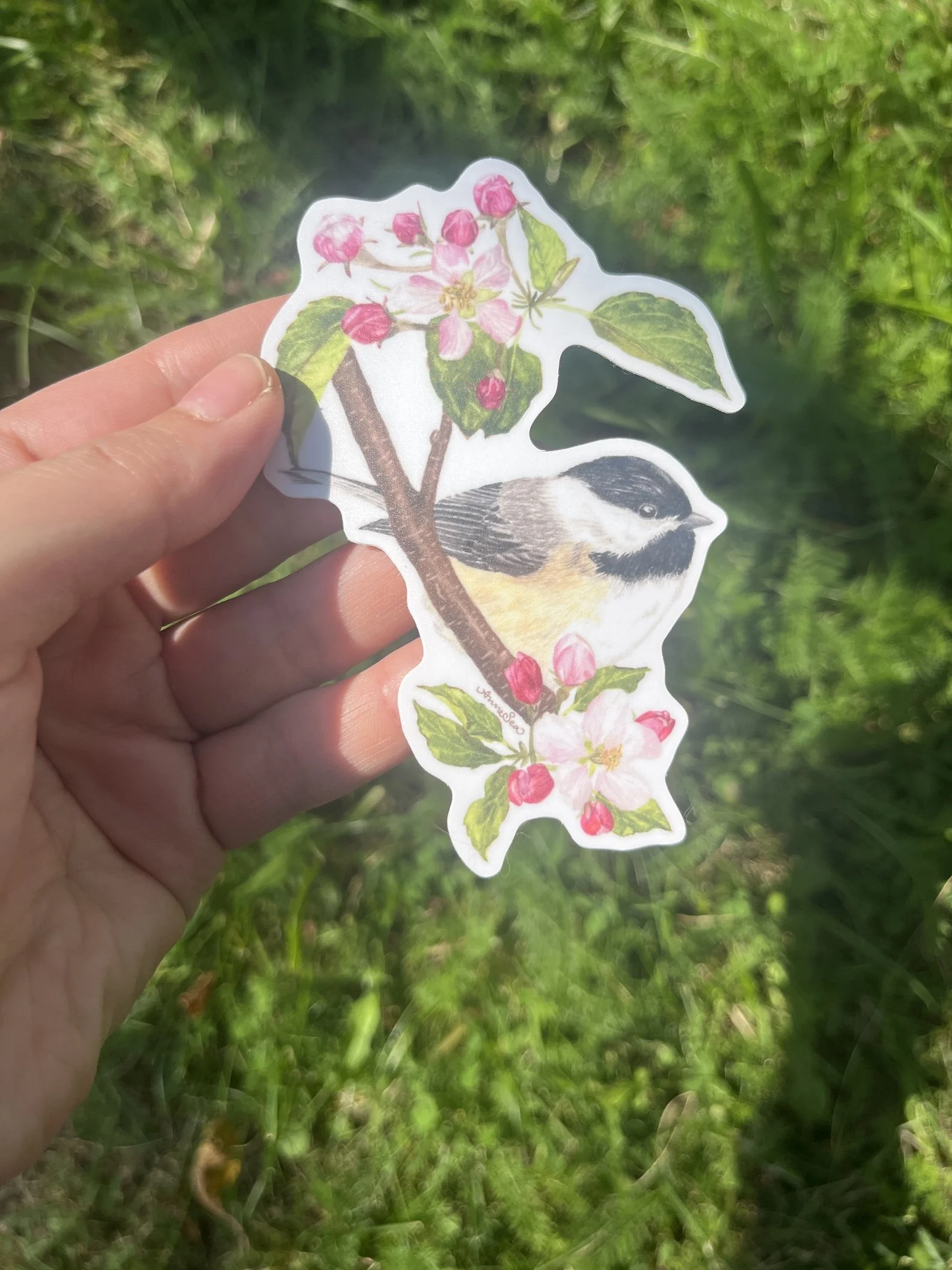 chickadee sticker4.JPG