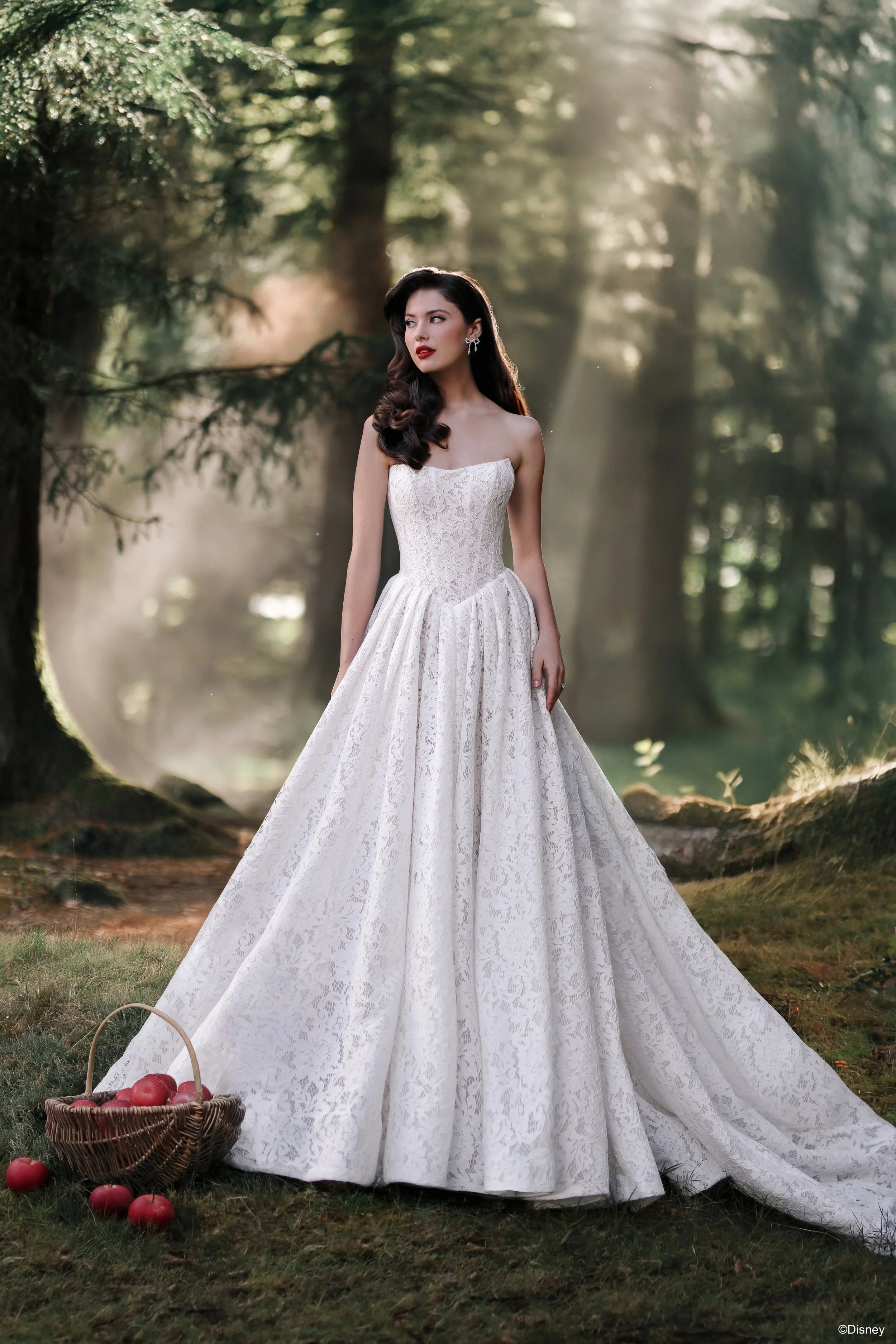 D467-SnowWhite-01.jpeg