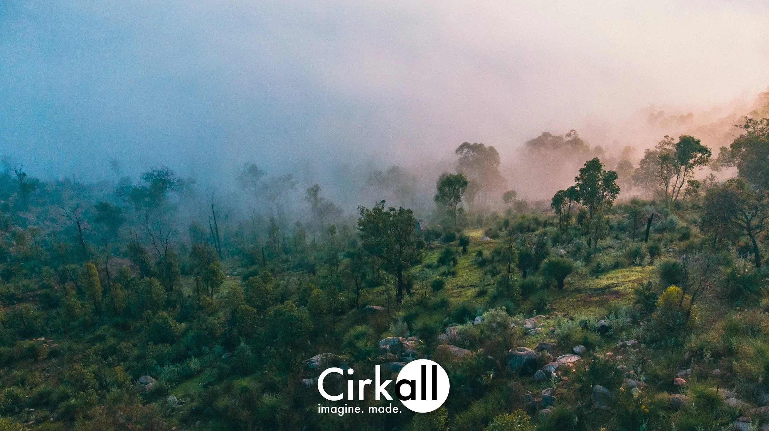A misty forest landscape with various trees and rocks, with fog enveloping the scene and creating a serene, hazy atmosphere.