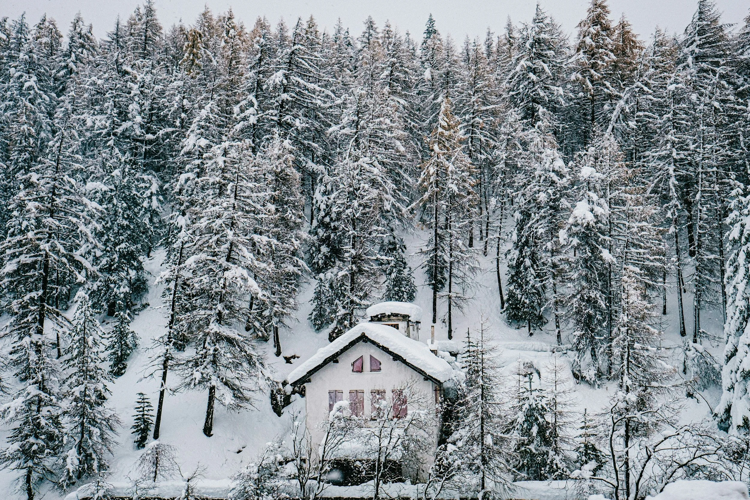 Winter Painting