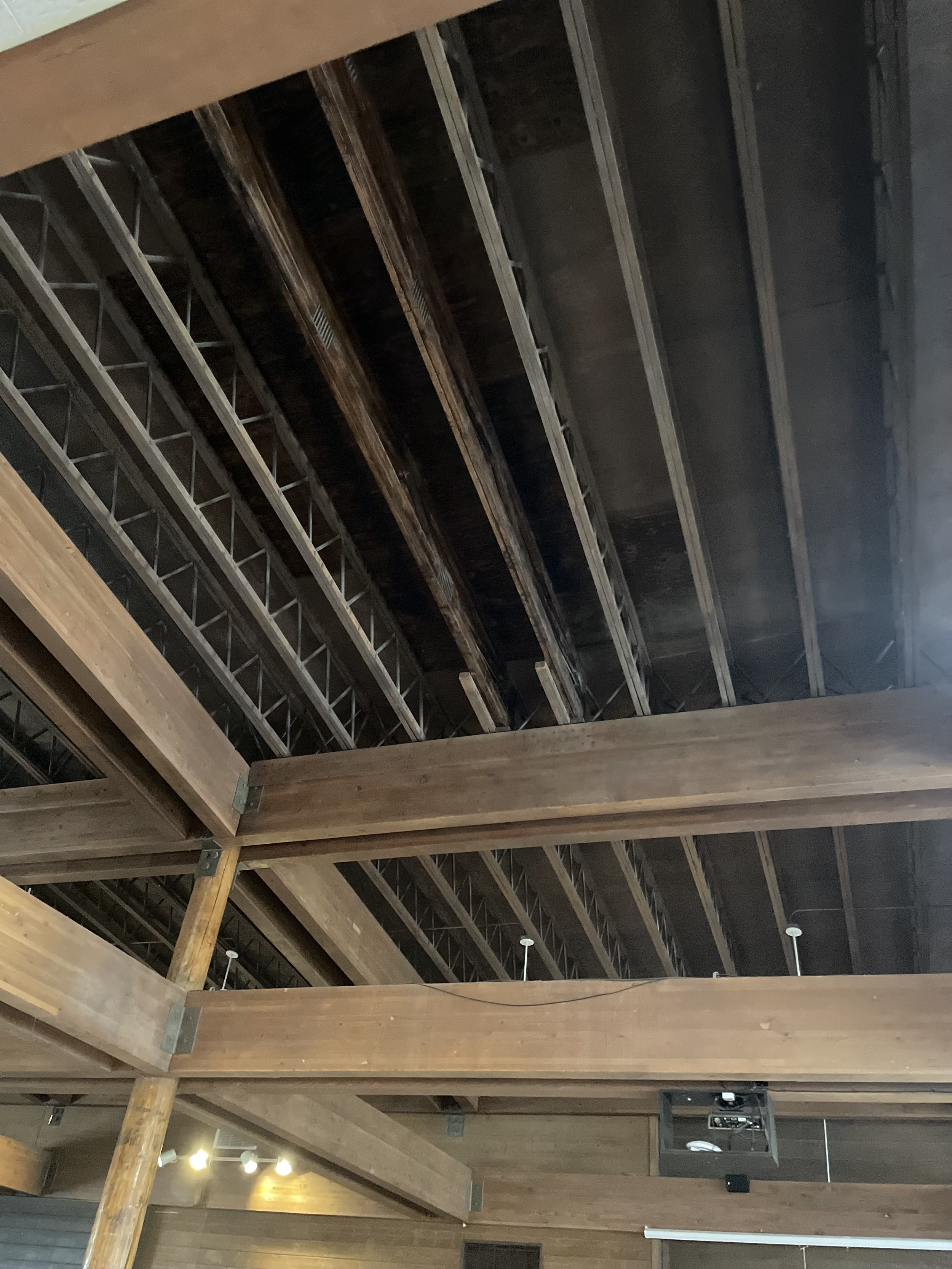 Flagstaff Ceiling Staining