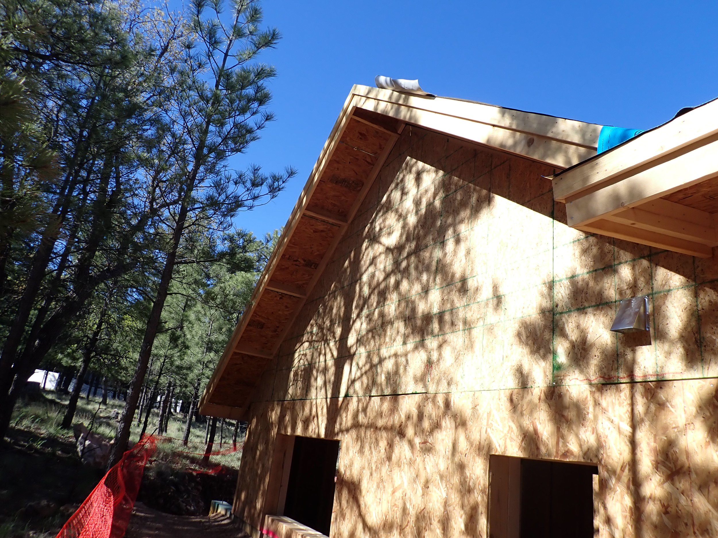 The Importance of Professional Painting in New Construction Projects