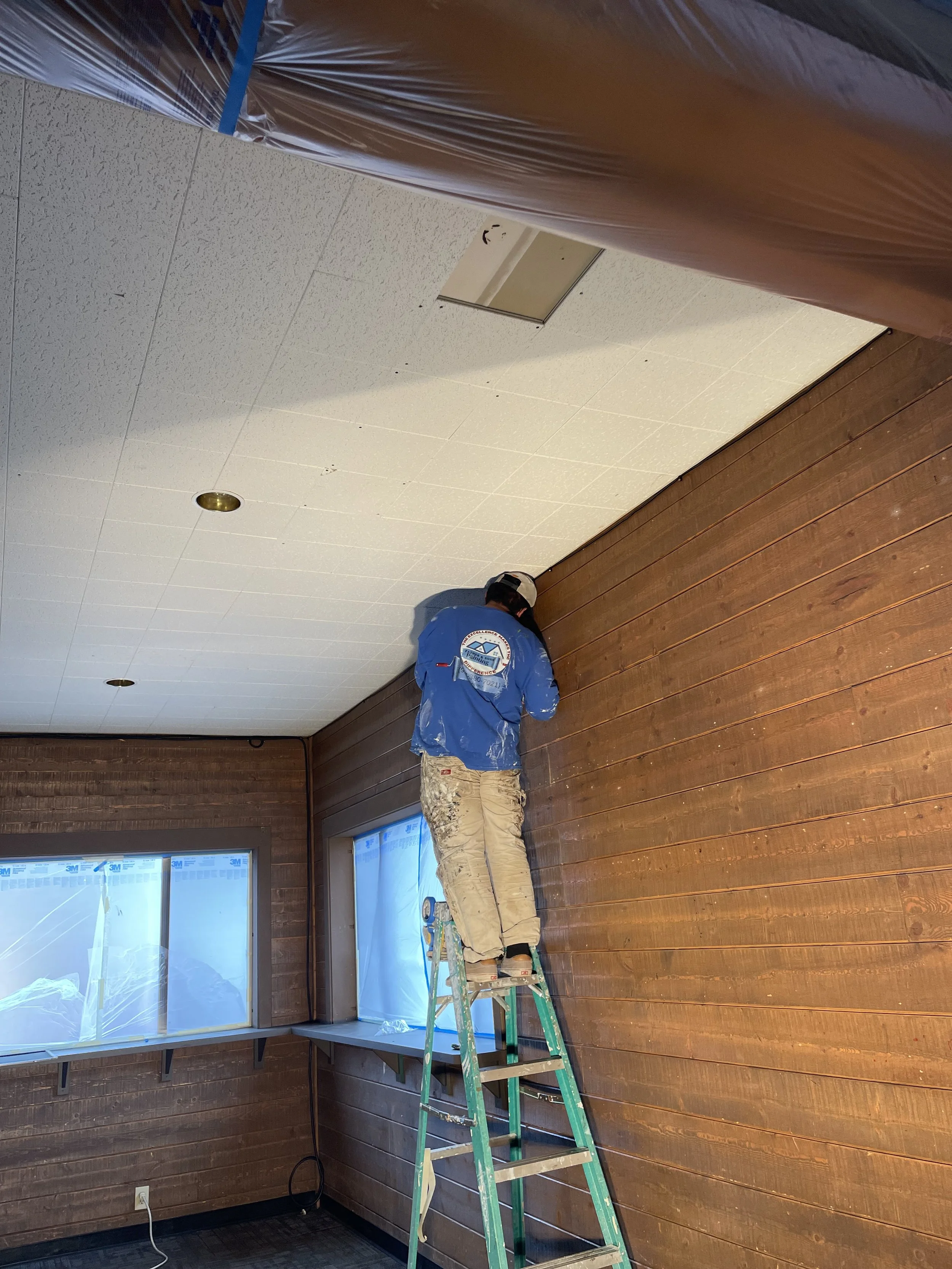 Flagstaff Ceiling Painting