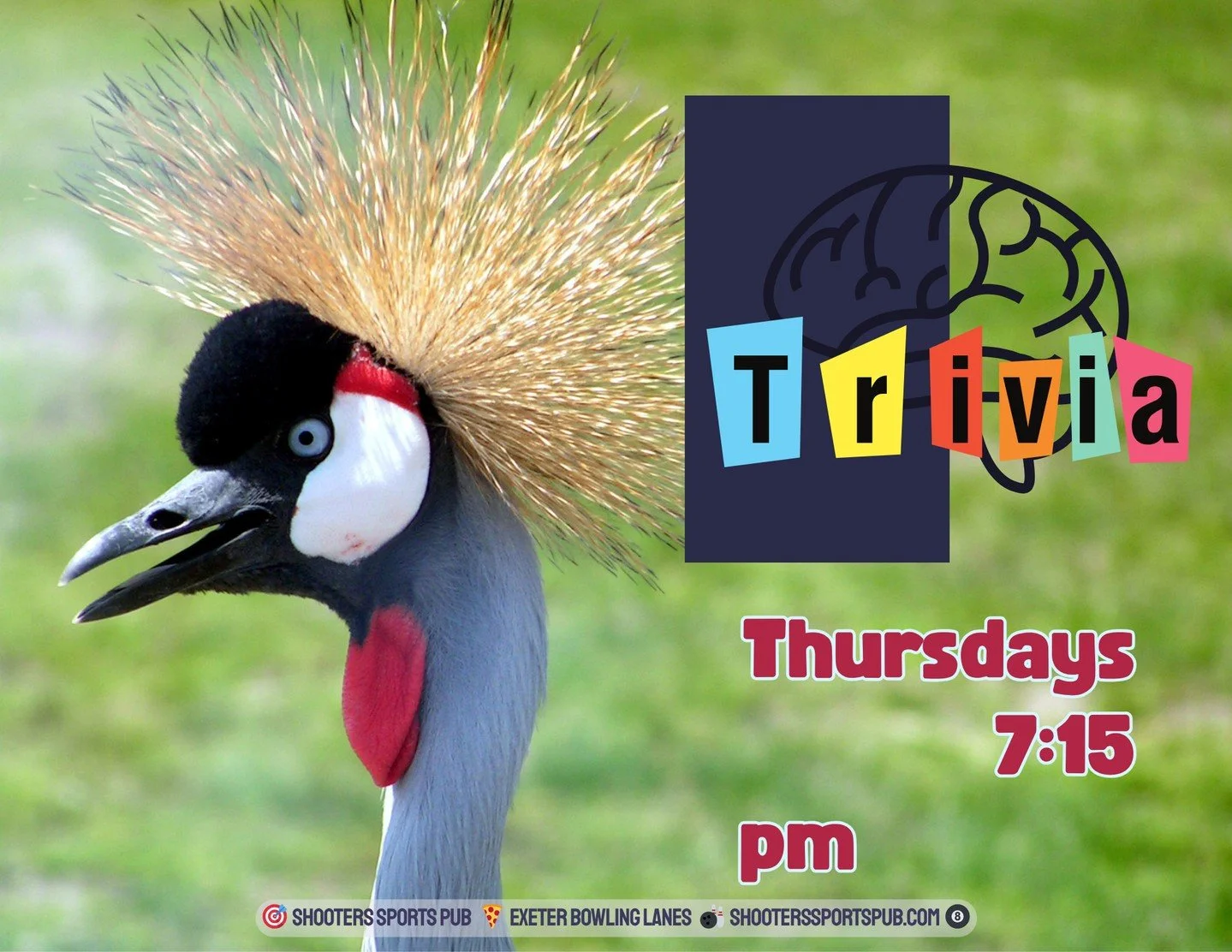 Thursday nights at 7 pm, join us for Trivia!⁠
No sign-ups - just show up and jump in.⁠