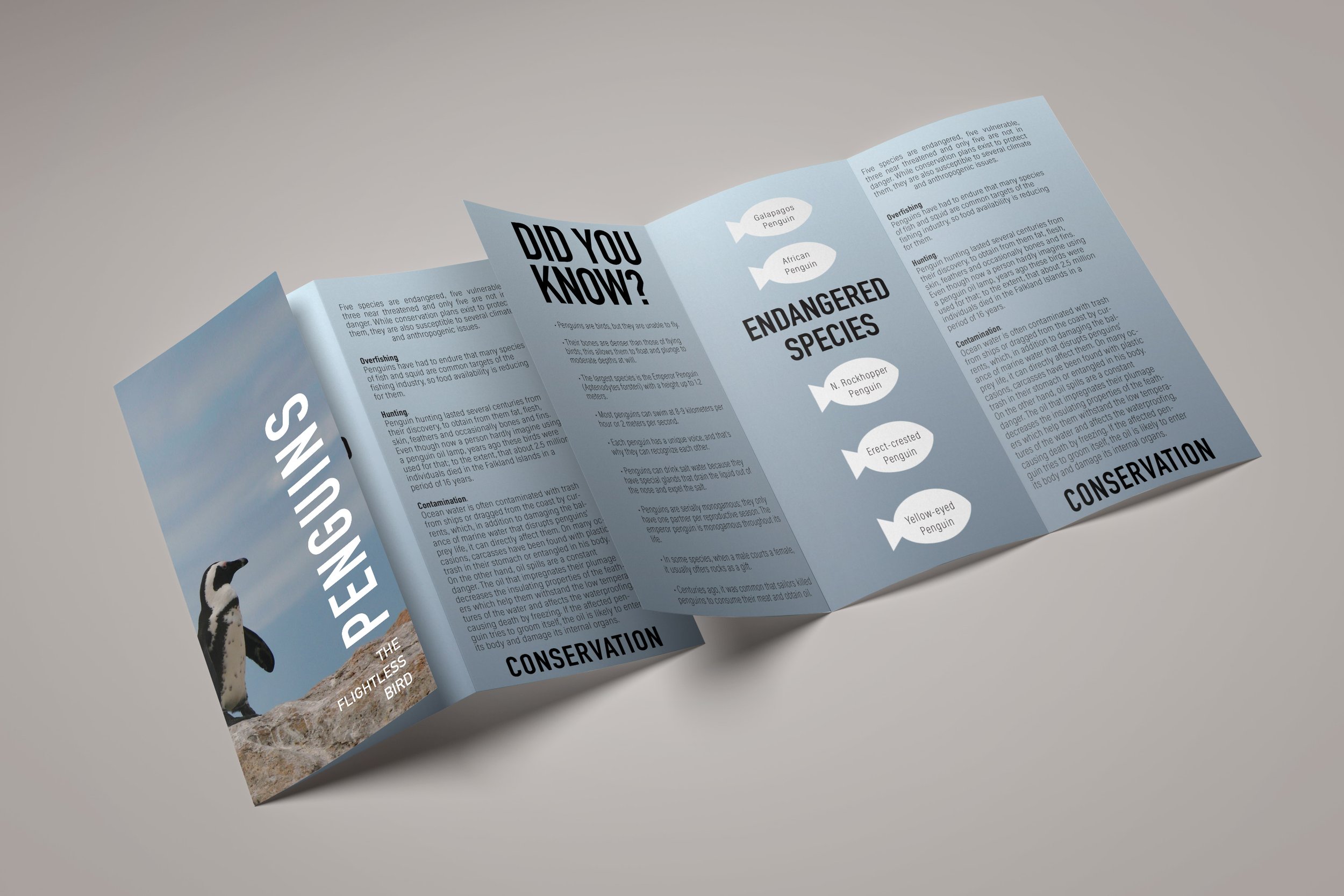 penguin-brochure_1.jpg