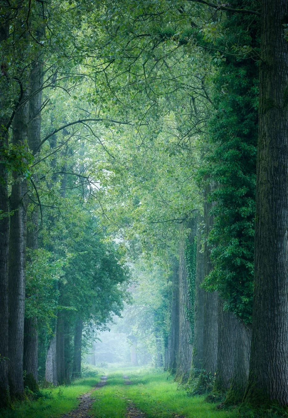 © Natasja Verbrugge