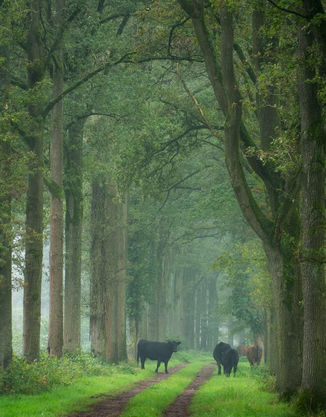 © Natasja Verbrugge