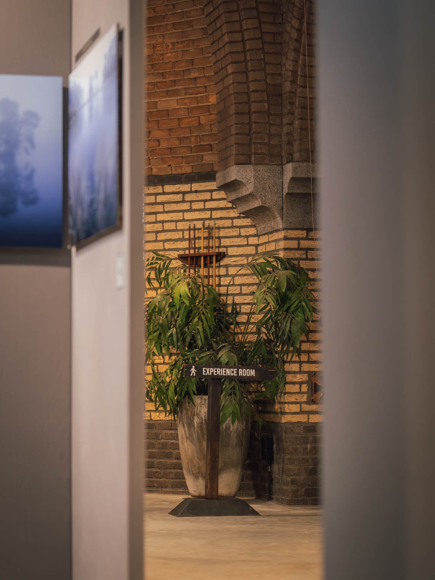 HIP-9254-Edit.jpg