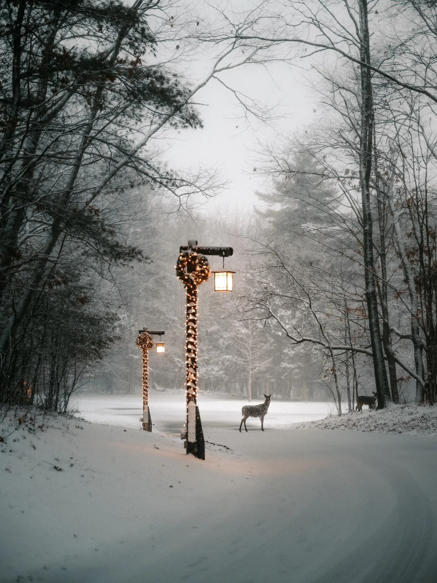 2025 was, both professionally and personally, the most difficult year I&rsquo;ve faced.

I spent it balancing a full-time job that demands constant travel, resilience, creativity, and an endless supply of &ldquo;good vibes only&rdquo;, even when my o