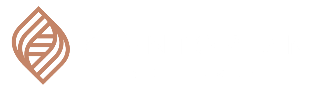stentorian ventures