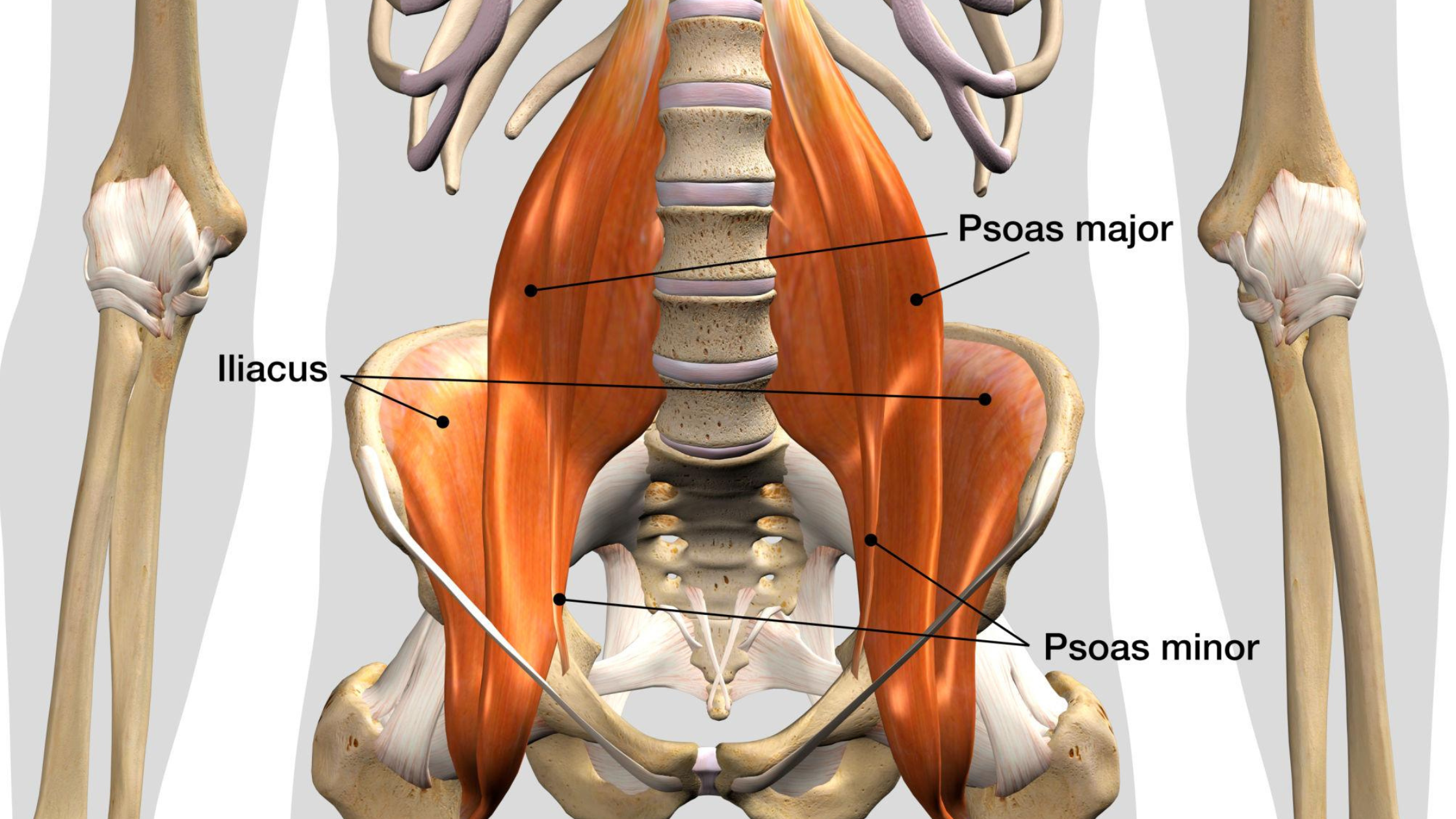 Say Hello to Your Psoas