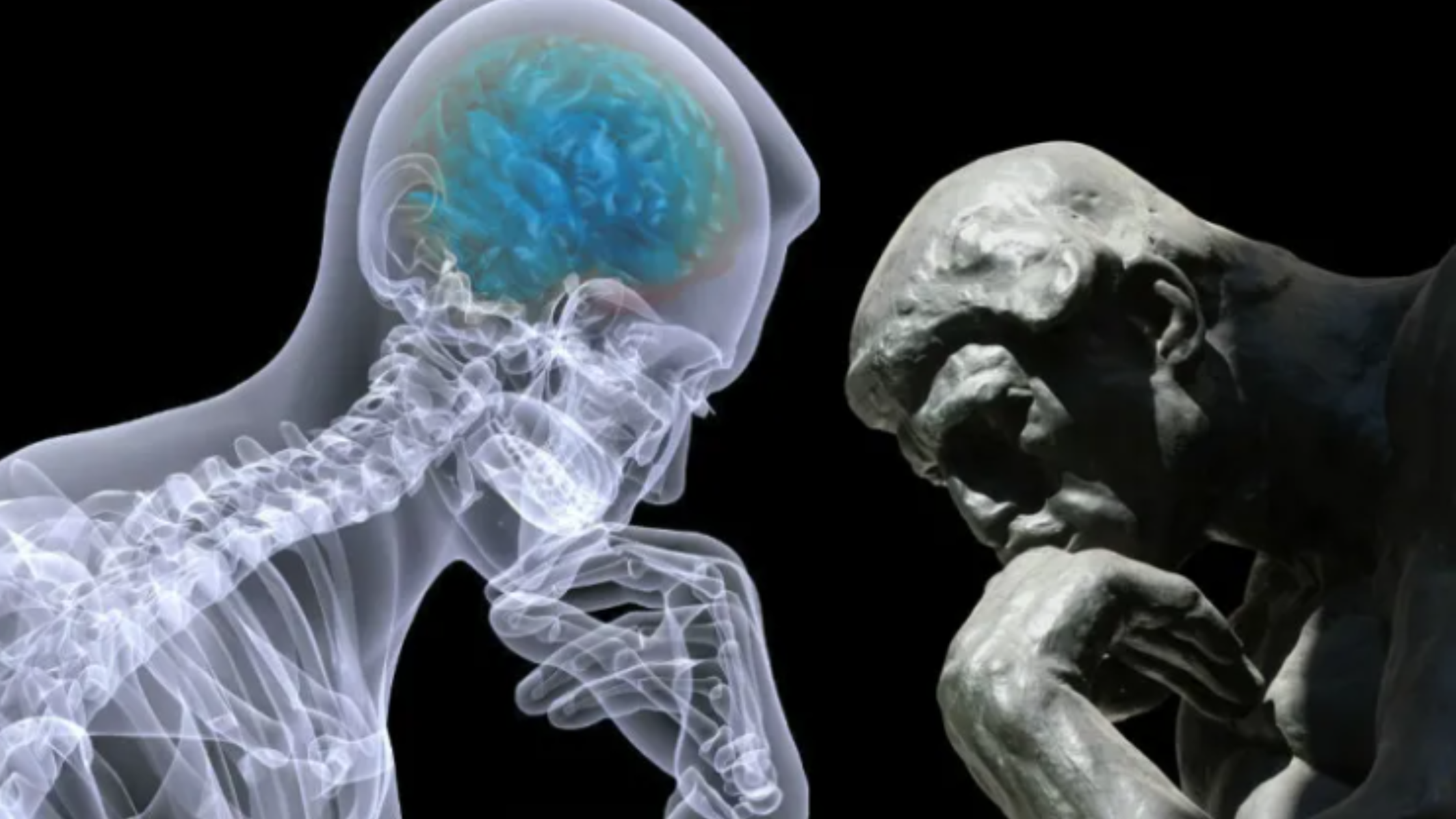 Nervous System Repatterning: How the Brain Shapes Your Body — Leah Bush ...