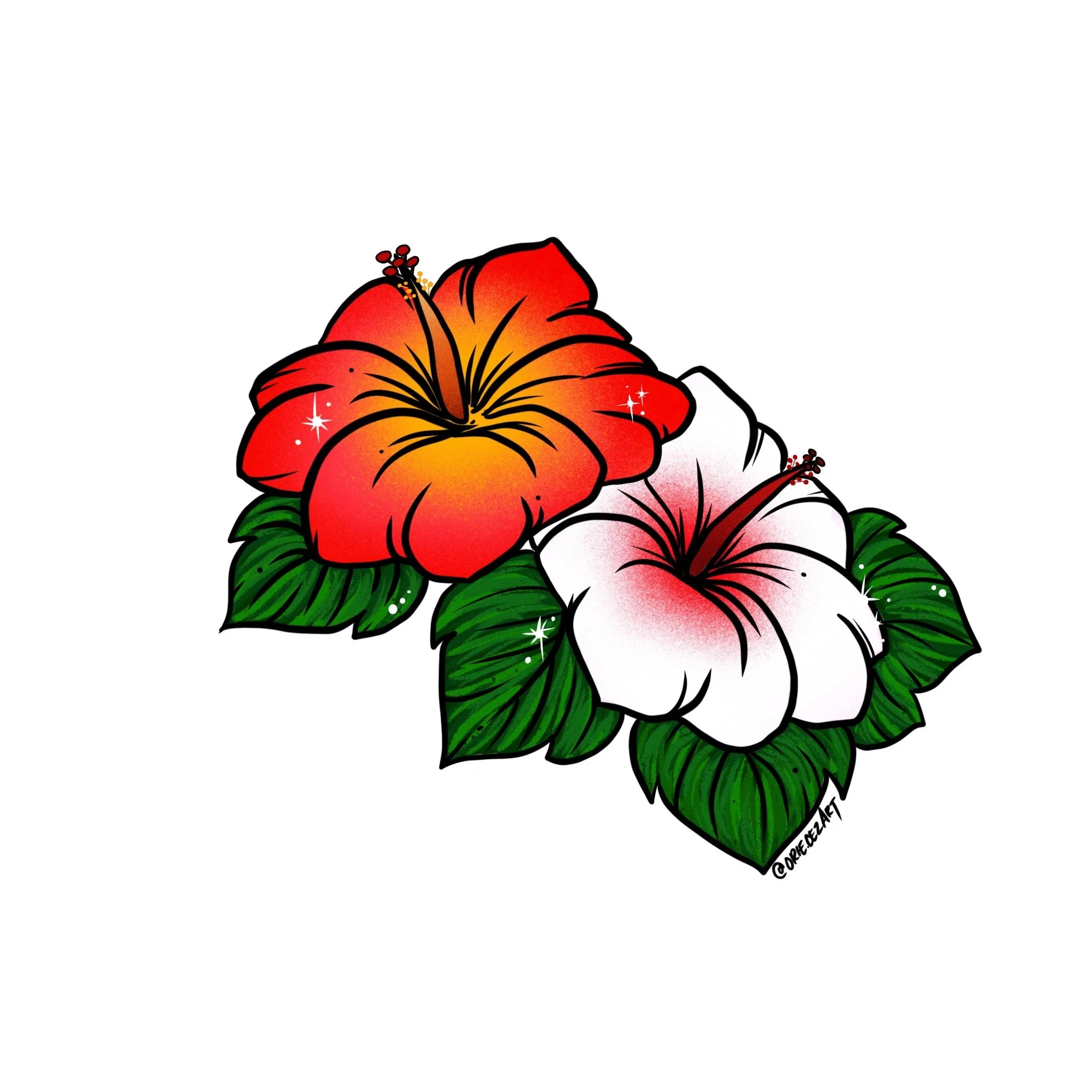 Hibiscus 