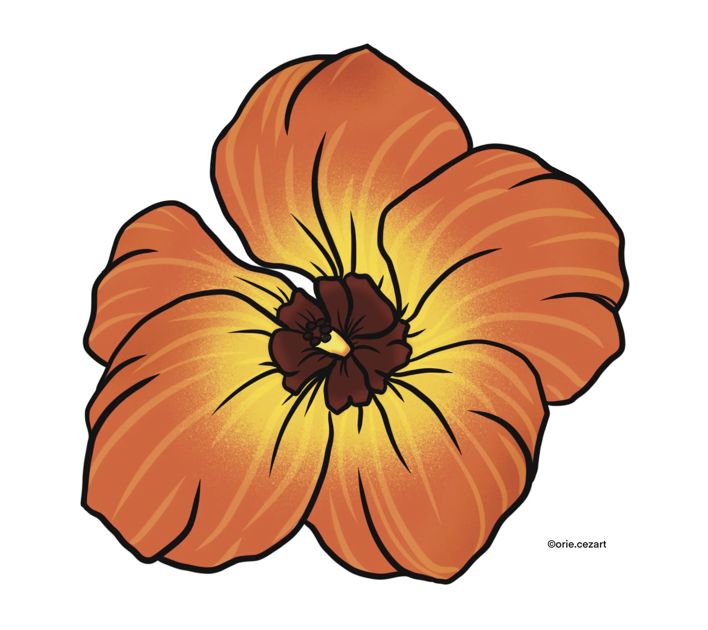 Hibiscus Tiliaceus / Orange - 2022