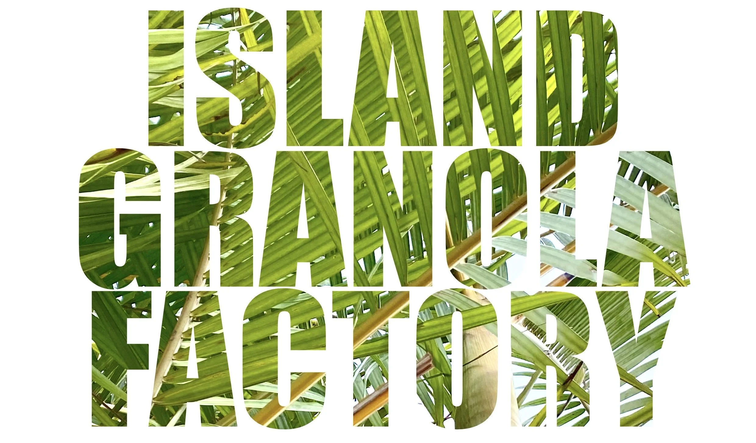 Morning Bowls / Product Package Design 