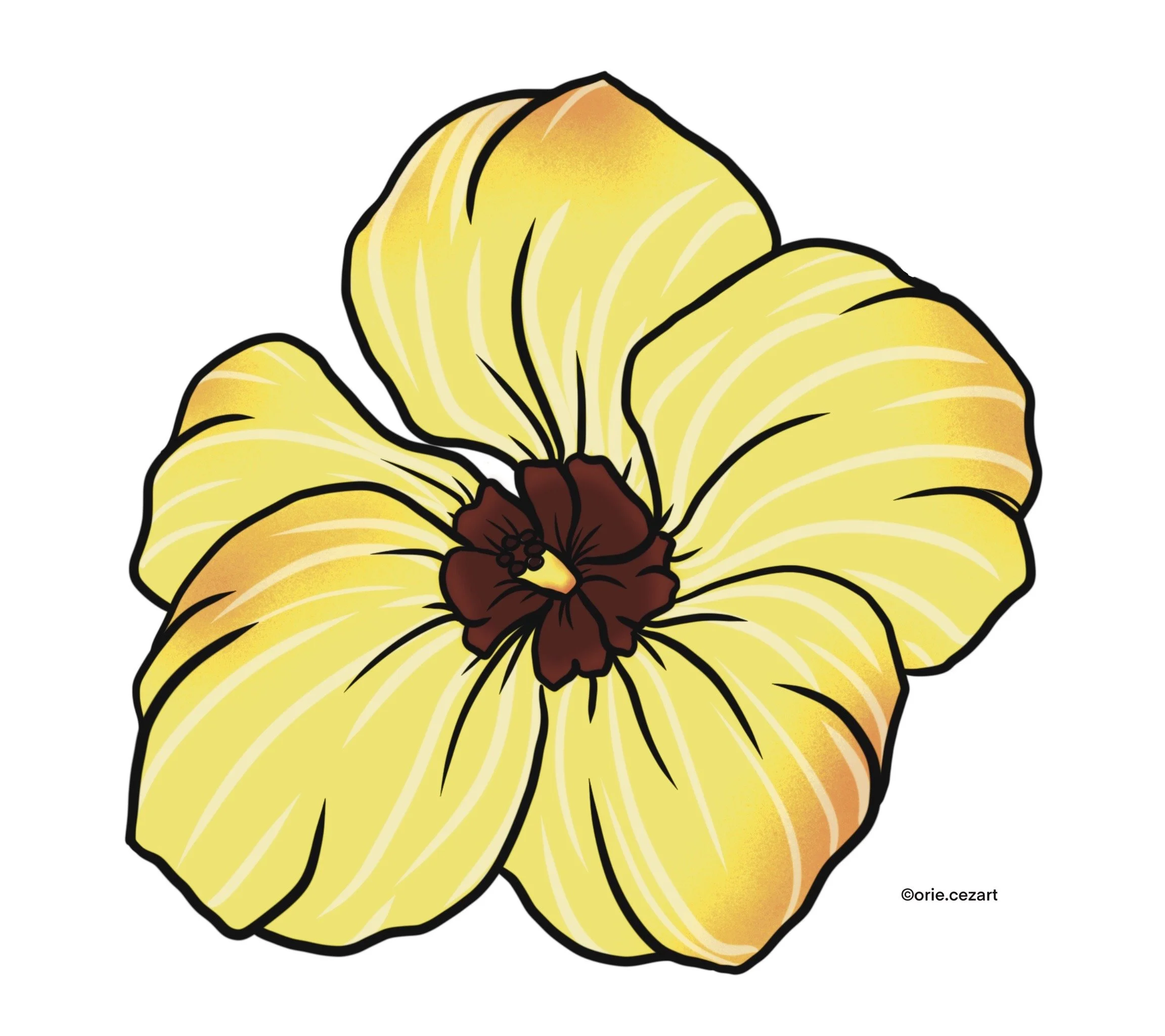 Hibiscus Tiliaceus / Yellow - 2022