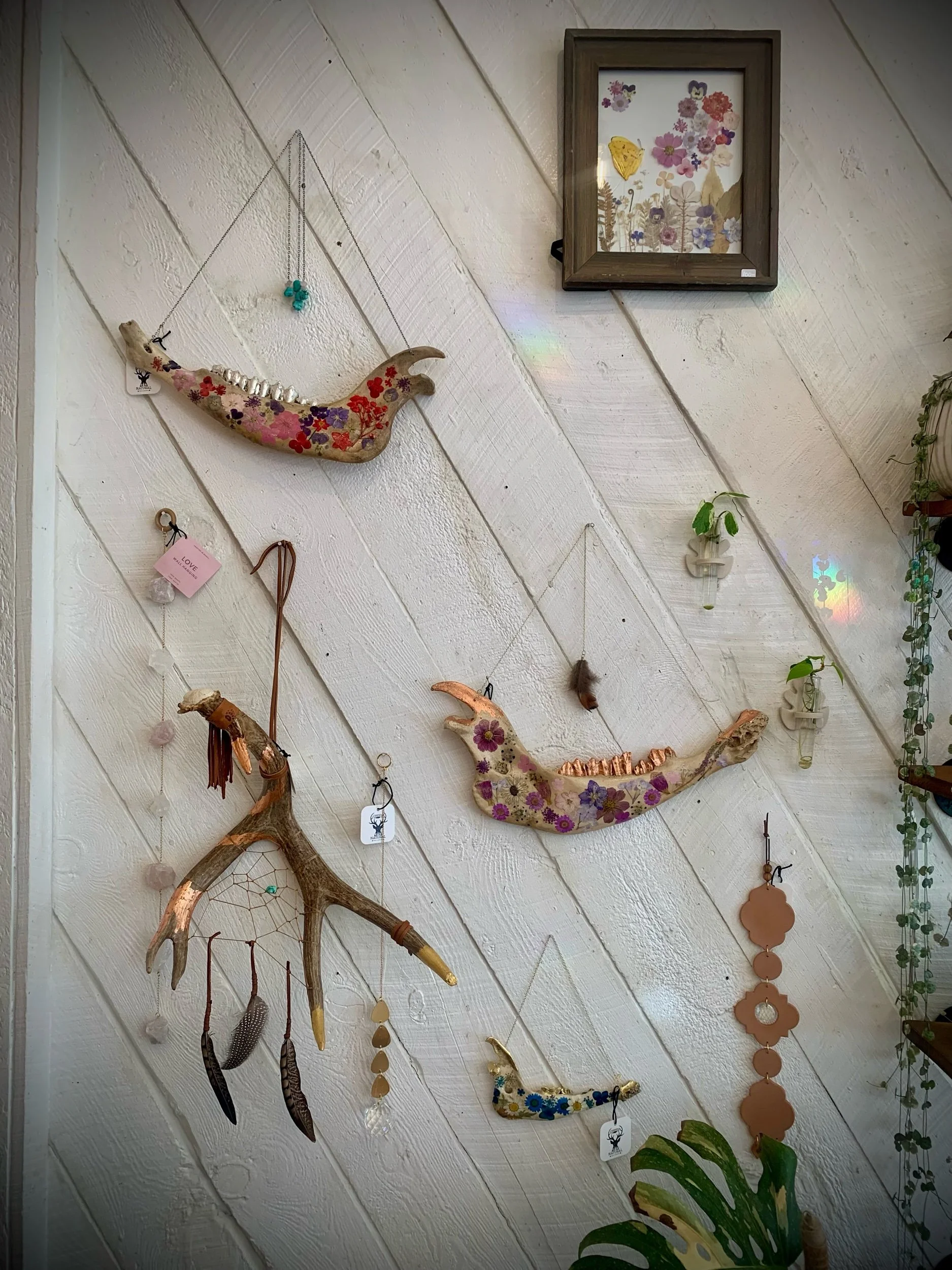 Gilded Buffalo Jaw Bone