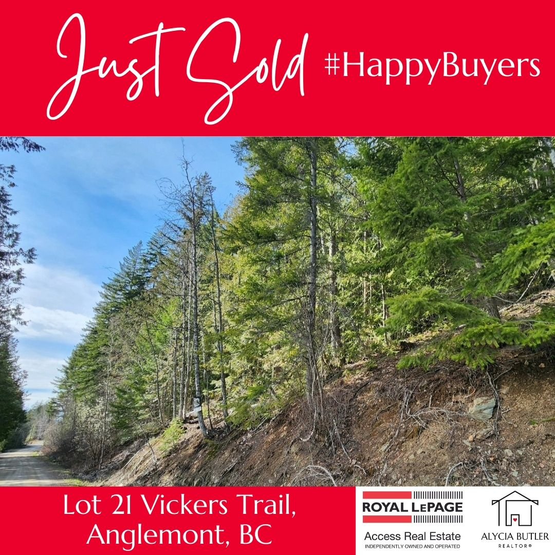 ✨SOLD
Congratulations to K + C on the purchase of what will become a spectacular lakeview property in Anglemont Estates. You guys were so fun to work with. Thank you for sharing your amazing energy!Welcome to the North Shuswap!

#sold #buyersagent #a