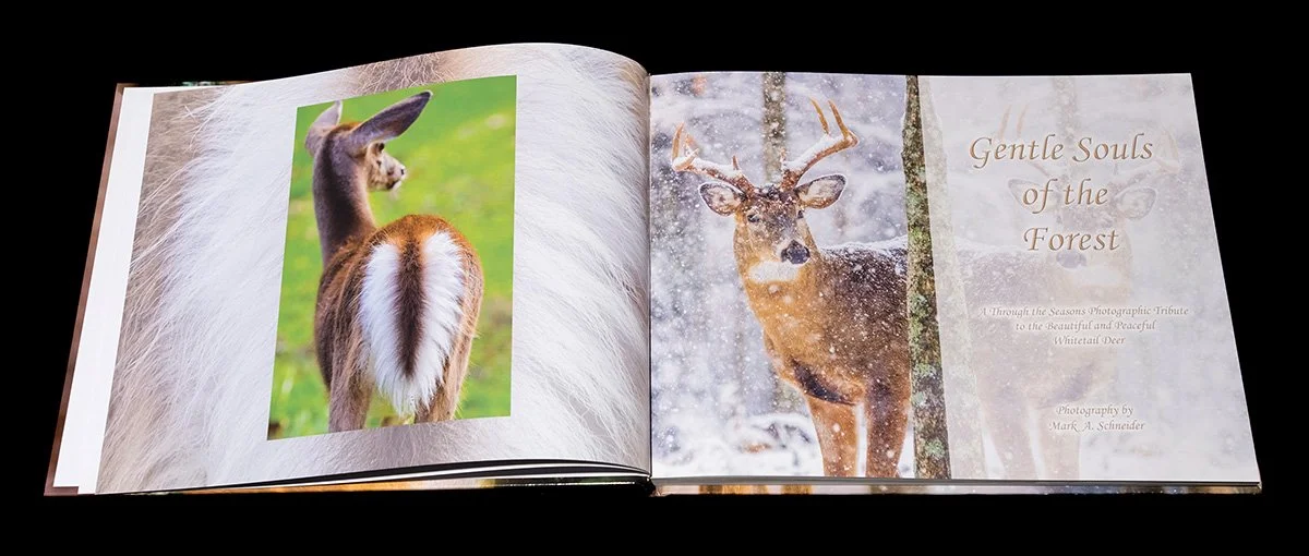 Gentle Souls of the Forest photography book featuring beautiful images of whitetail deer in all seasons of the year.