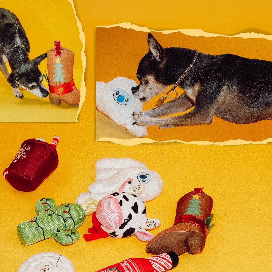 MEAT STICK PLUSH DOG TOY – Pawty Dog Toys
