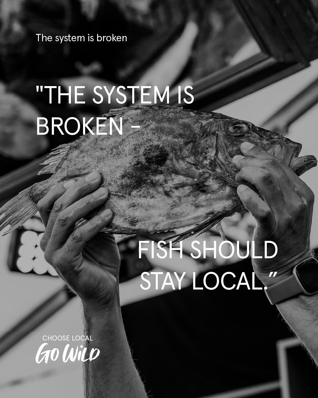 &ldquo;The system is broken - fish should stay local.&rdquo; This is what one Plymouth resident told us in our recent survey. And they&rsquo;re right.

We&rsquo;re an island nation with active fishing fleets and we&rsquo;re shipping in fish from dist