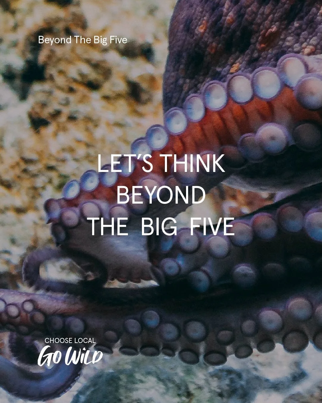 We all know the &ldquo;Big Five&rdquo; (Cod, Haddock, Salmon, Tuna, Prawns). They make up about ~80% of all the seafood we eat and they&rsquo;re always there for the taking in the supermarket, year-round.

While we rely on these predominantly global 