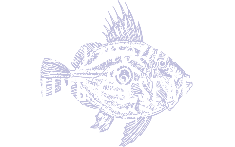 Plymouth Fishing &amp; Seafood Association