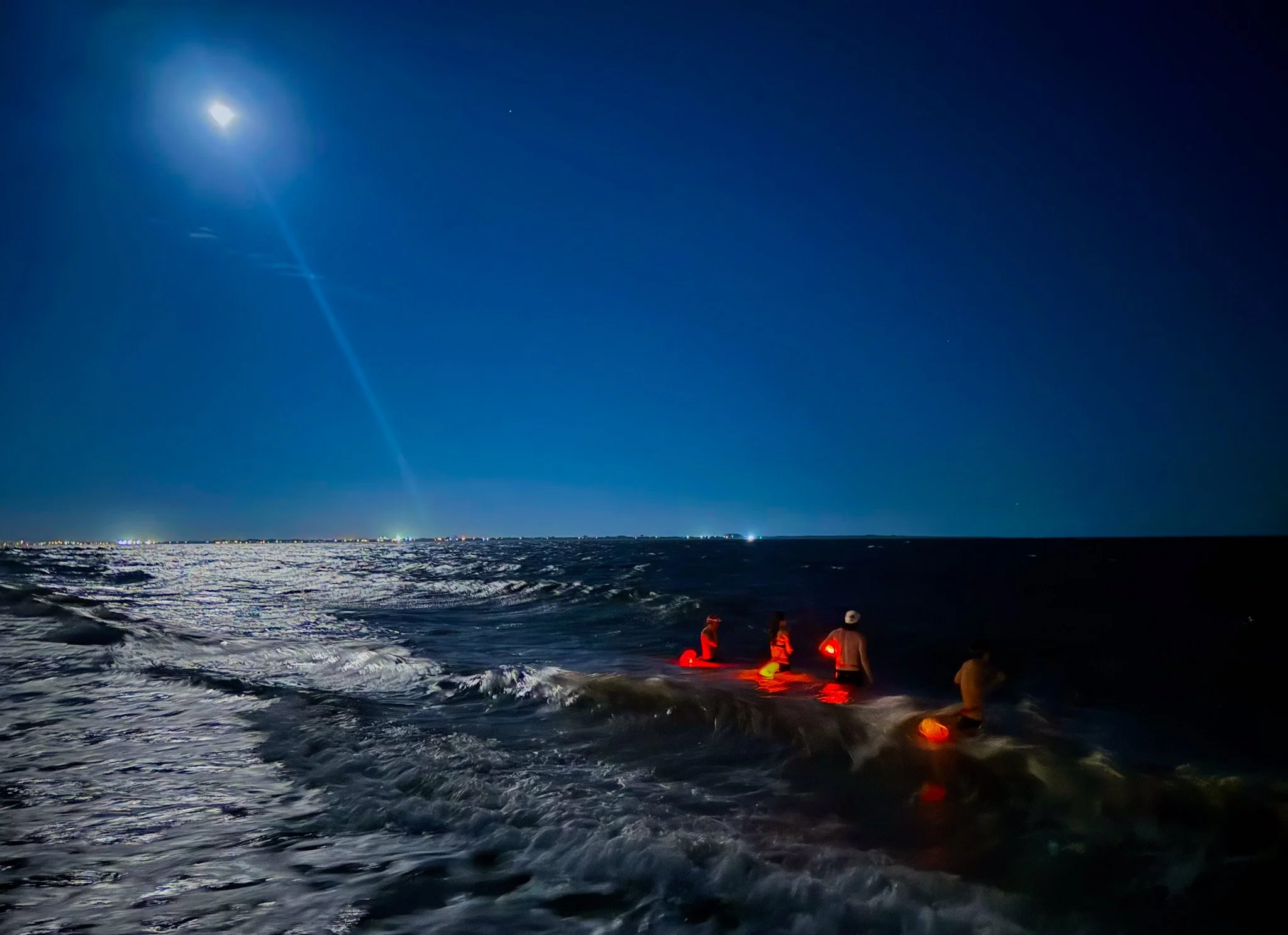 Harvest Moon Swim.jpg