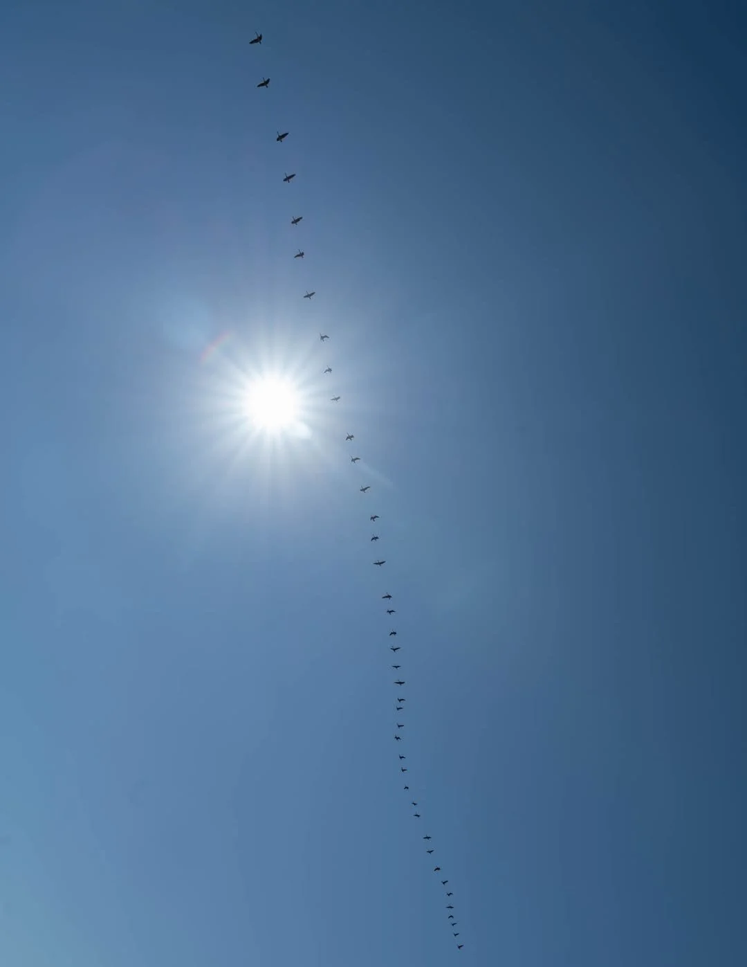 Vertical formation.jpg