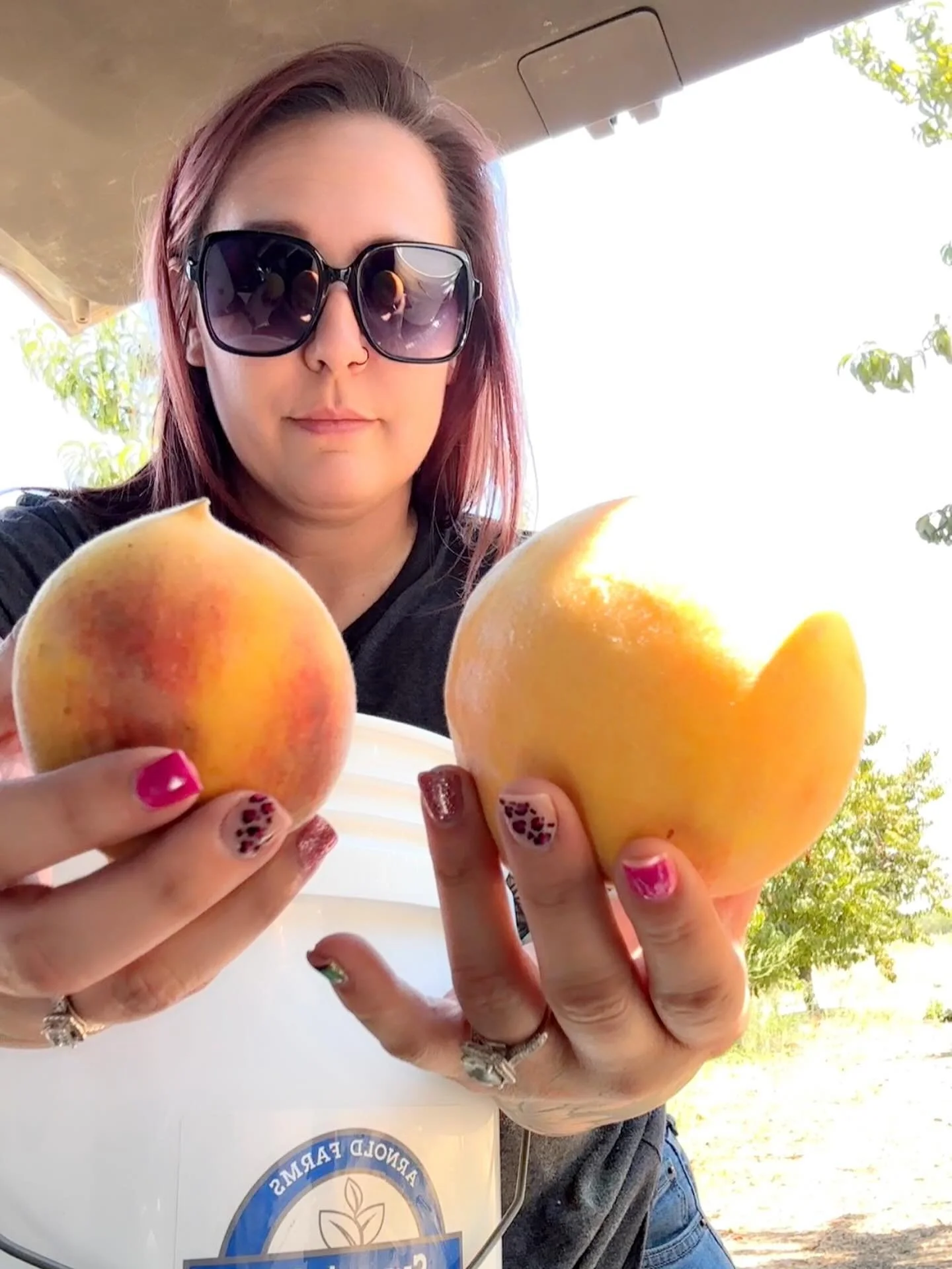 🍑 Went out this afternoon on a mission&mdash;to pick a last-minute bucket for one of my favorite peach customers. The trees we saved were pretty much picked clean (just tiny guys or overripe left behind)&hellip;

BUT while walking the field, I stumb