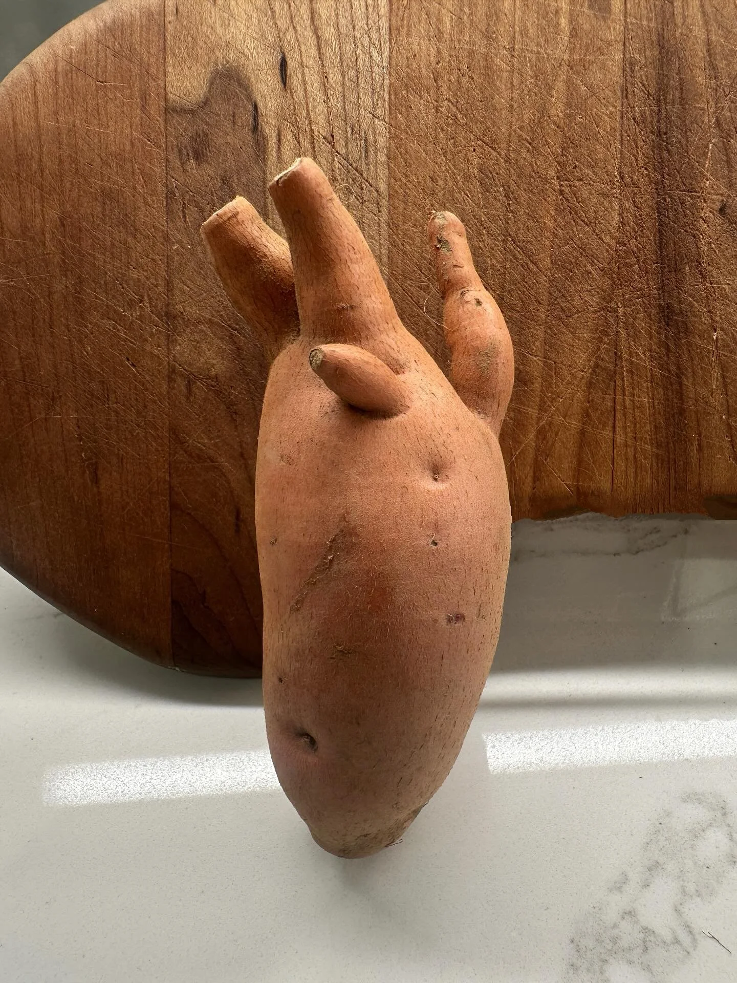 When your sweet potato comes out lookin&rsquo; like a straight-up anatomical heart&hellip; you know Mother Nature&rsquo;s got a sense of humor. 🫀

This funky little potato is a perfect reminder that sweet potatoes really are good for your heart &mda