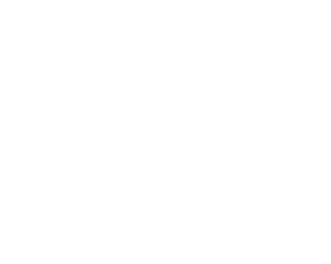 D.S. Hair &amp; Scalp Wellness