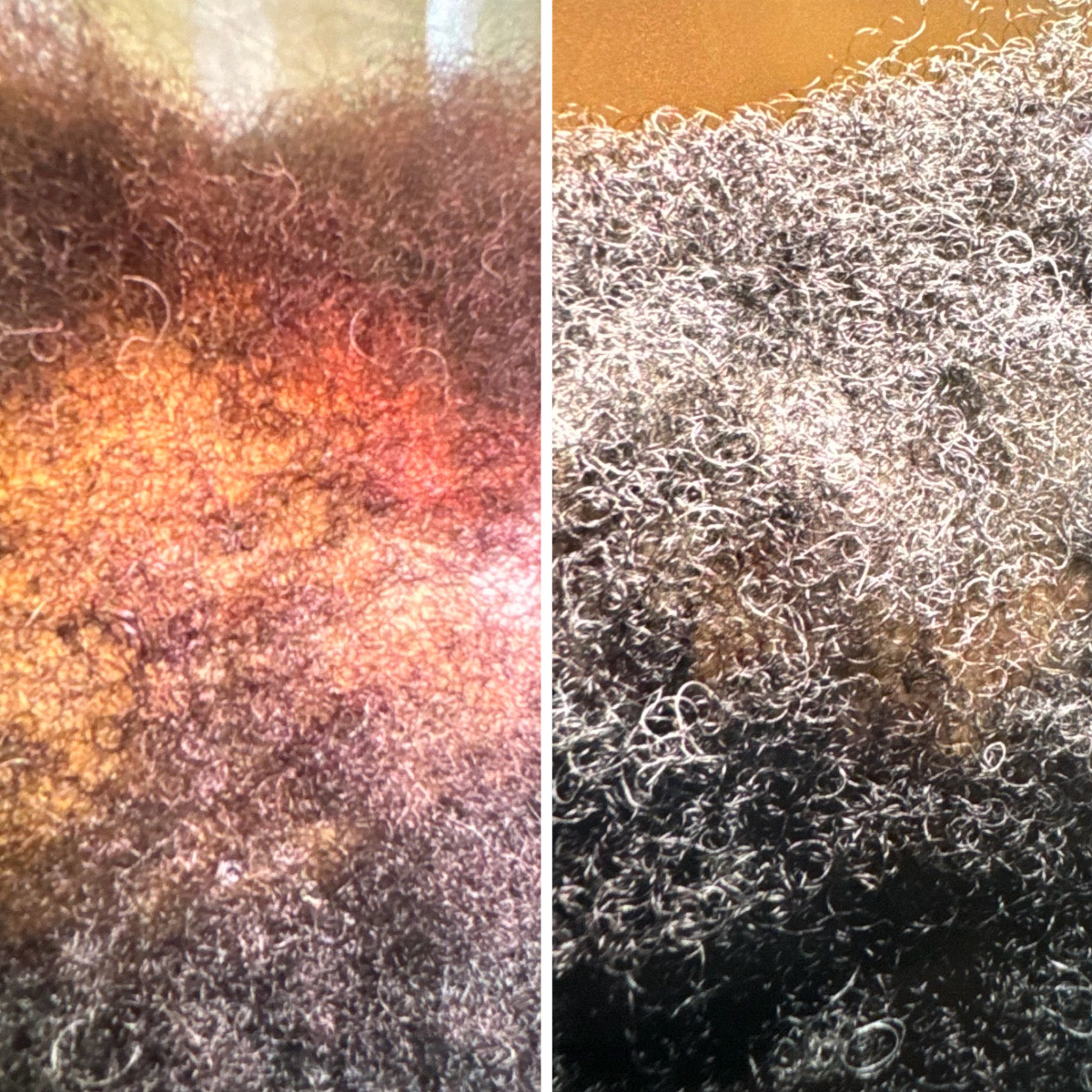 Close-up of tangled curly hair with different colors in two sections.