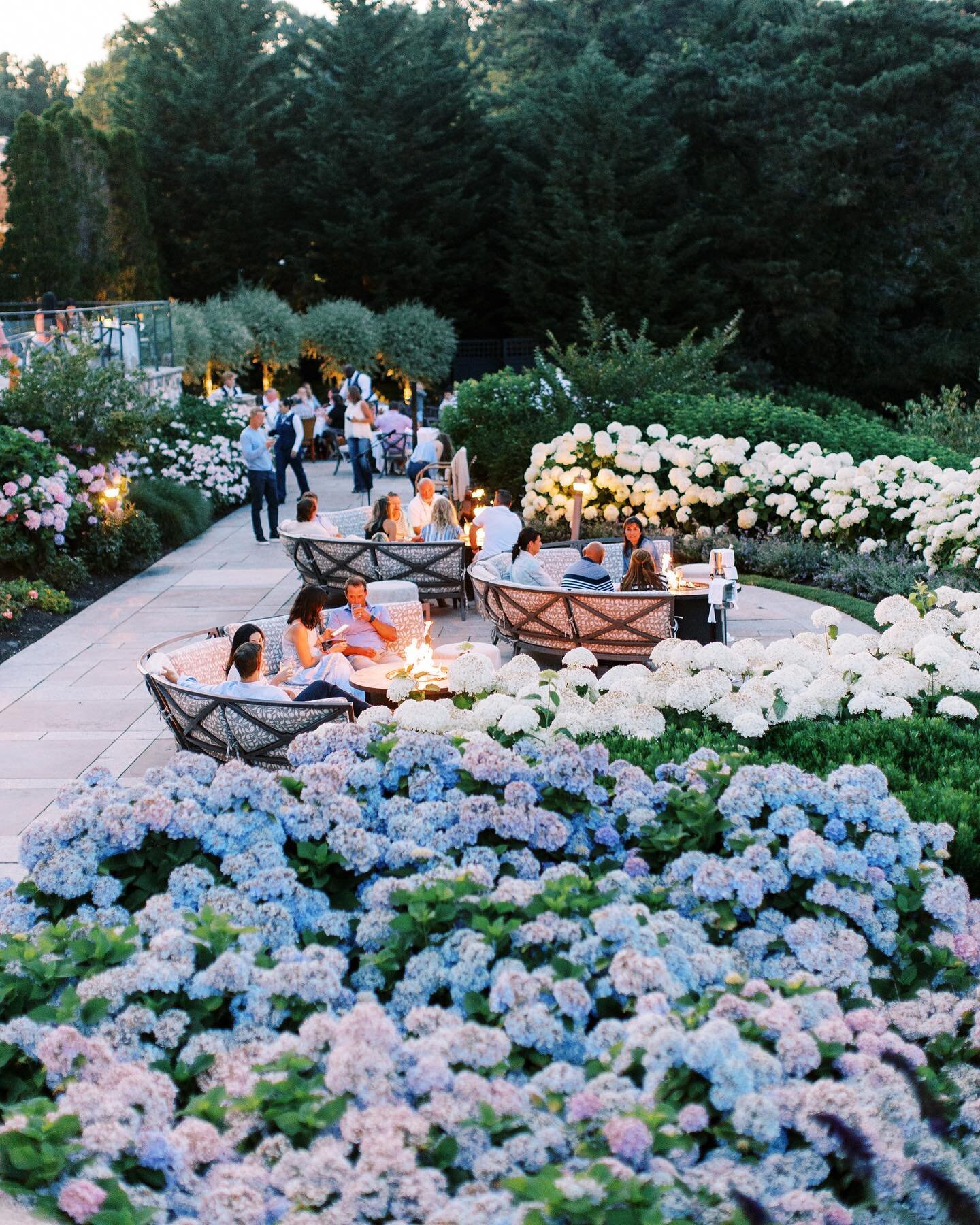 Seaside ceremony leading into golden hour and cocktails on the terrace @wequassett .
.
.
#kkerkorianweddings
#kkerkorianevents
#capecodweddingplanner
#capecodwedding
#July2022
.
.
📷 @perryvaile