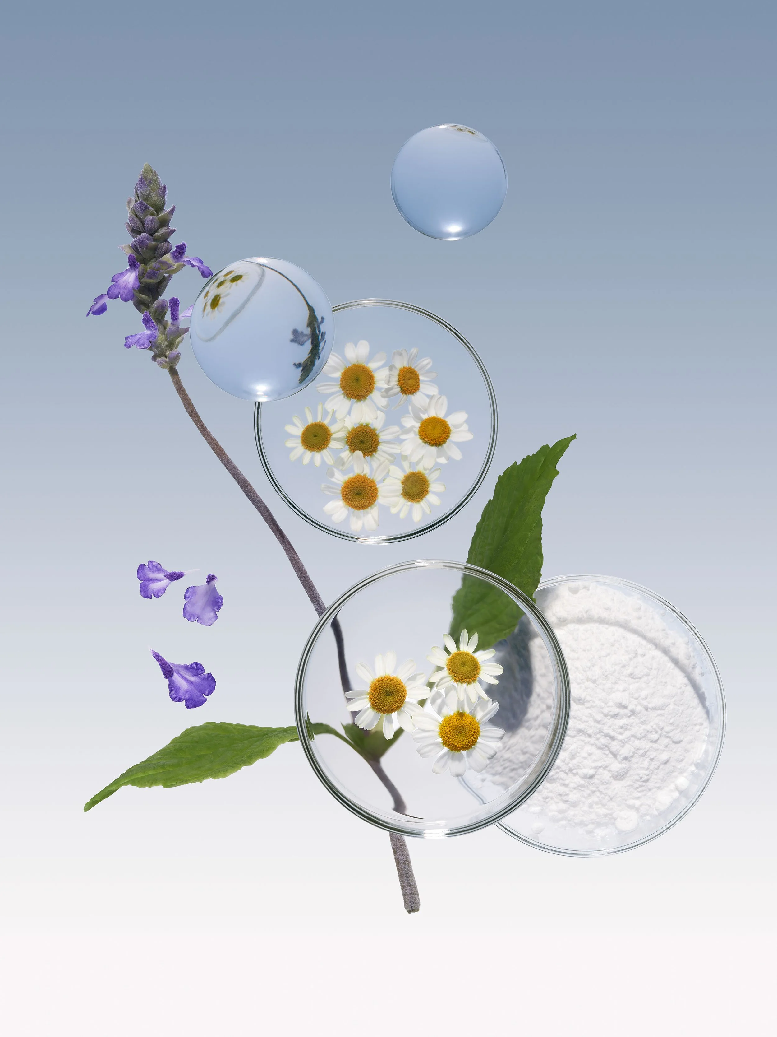 Art_Labs_P05_IngCellRespTech_1419.jpeg