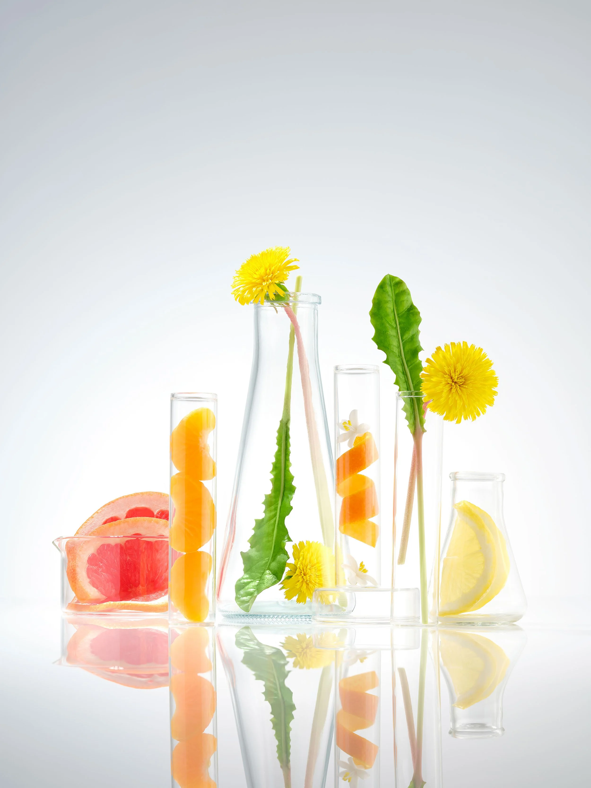 Nut_NG_Probiotic_P22_ProbioticsScienceIngredients_1436.jpeg