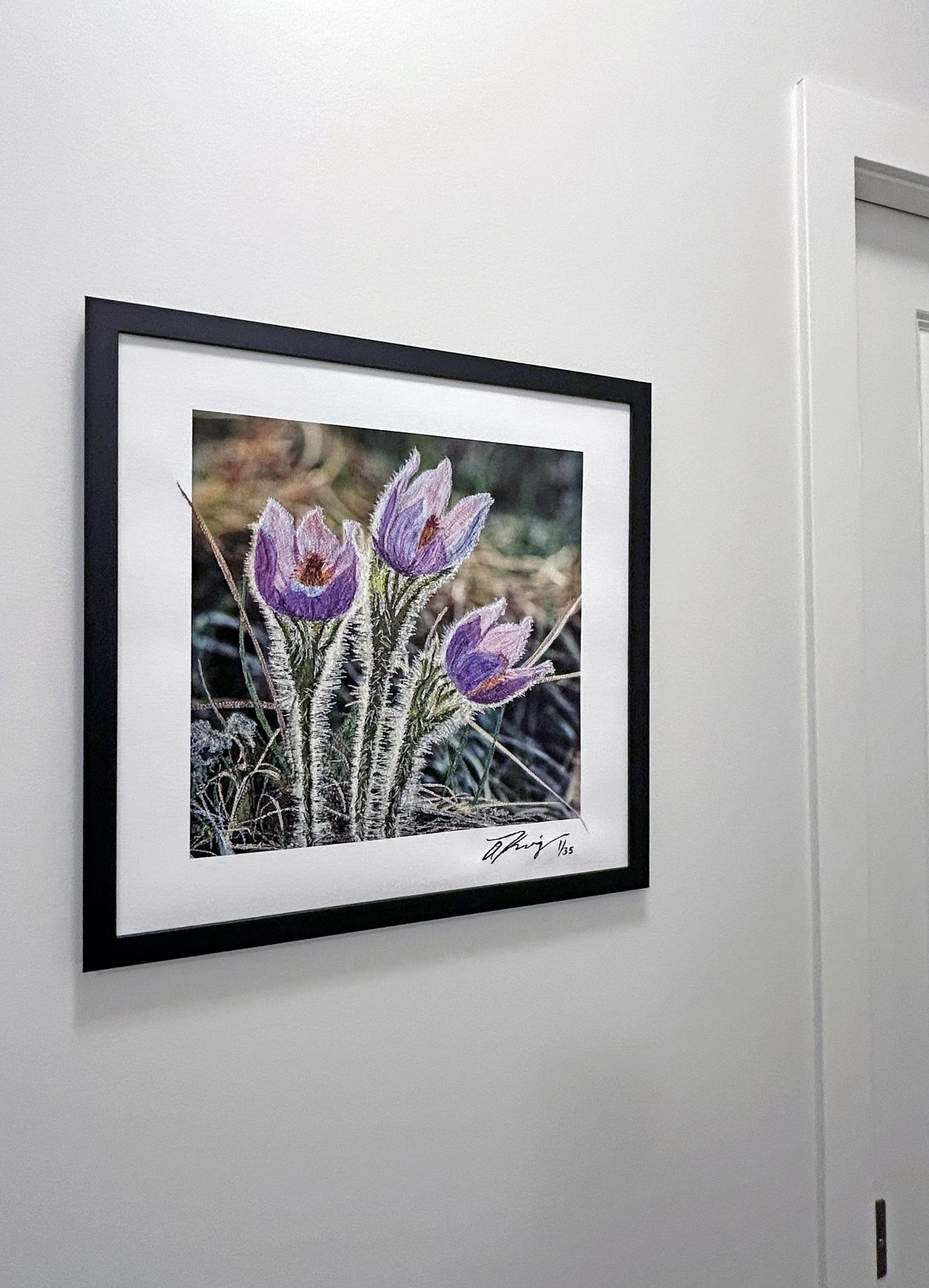 first three framed2.jpg