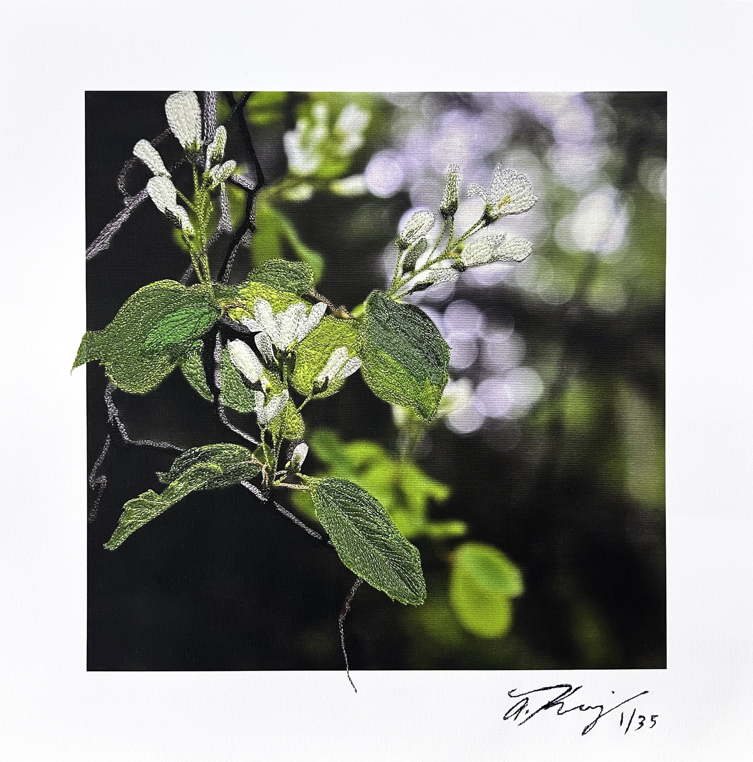 Spring- PRINT FOR WEB NEW.jpg