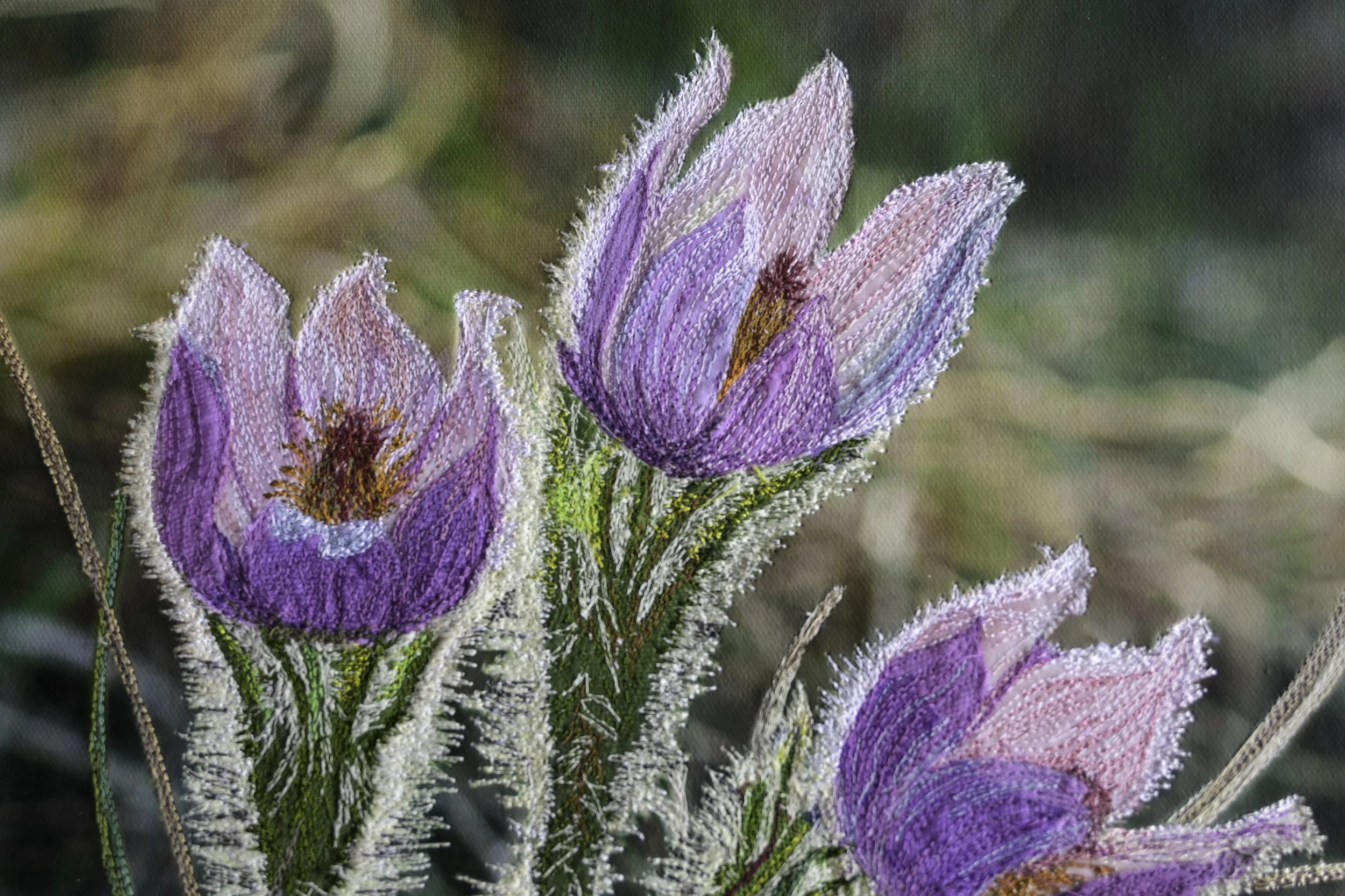 first three close up2.jpg