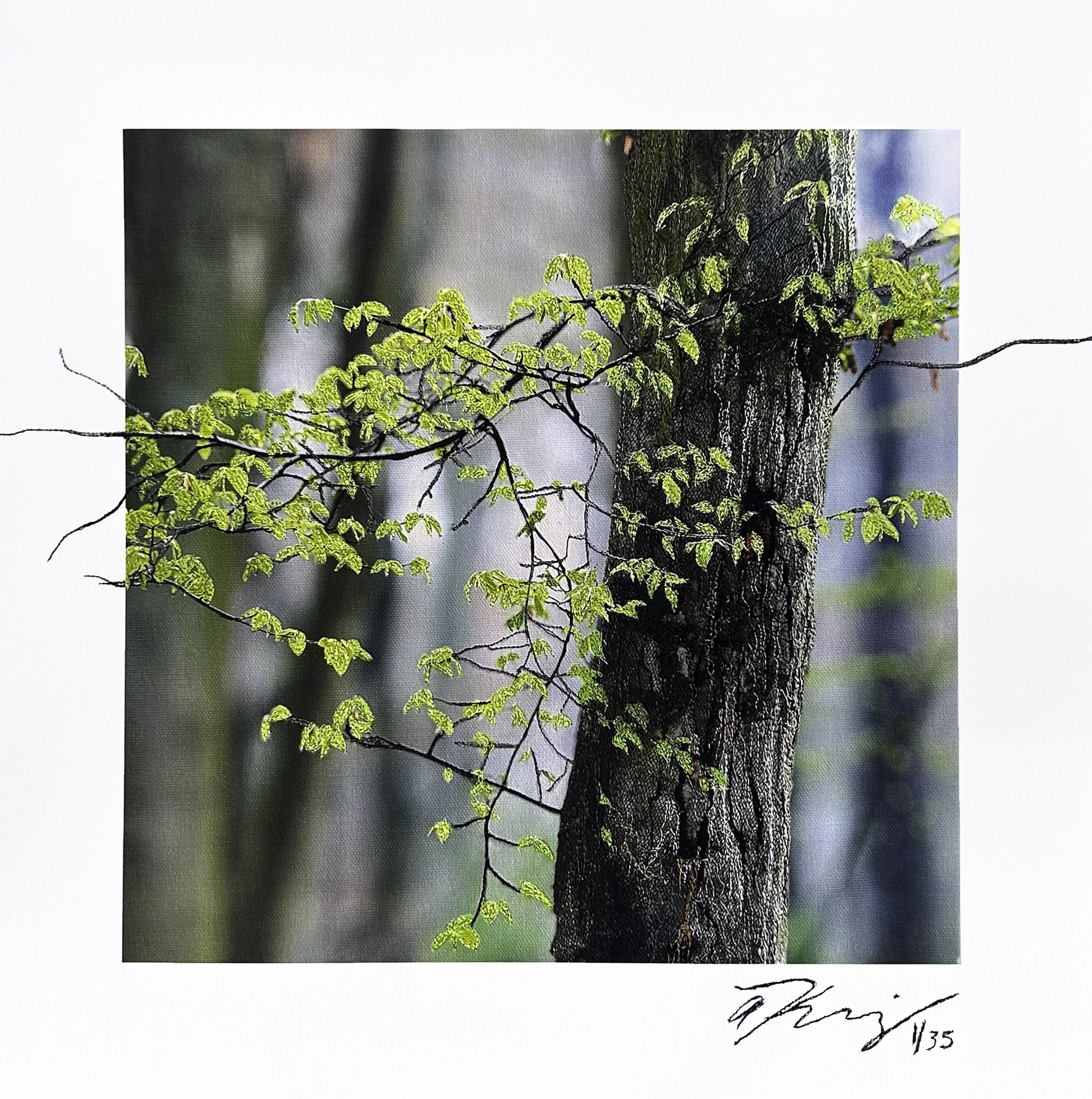 Spring-PRINT FOR WEB NEW.jpg