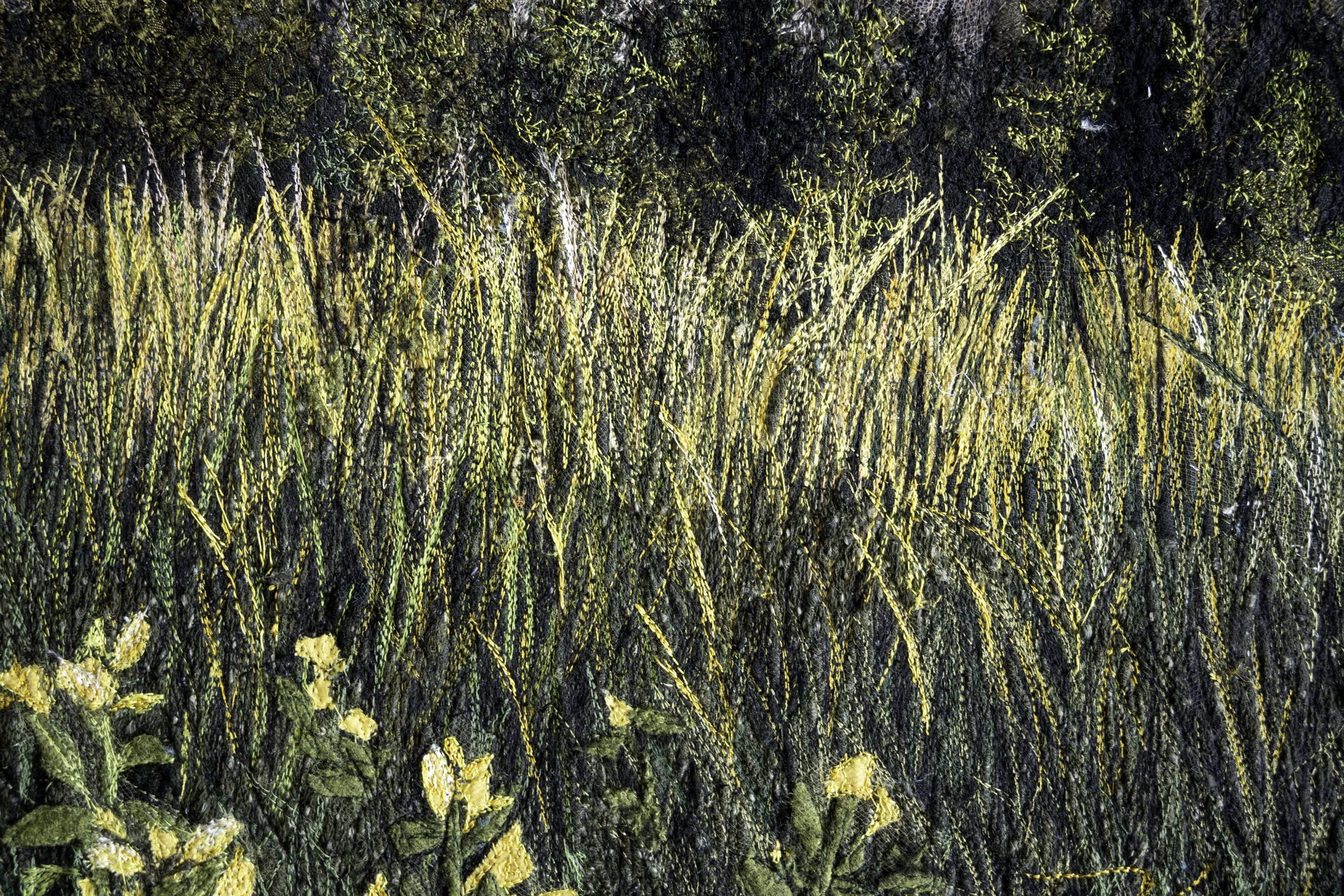 mountains and grasses close up.jpg