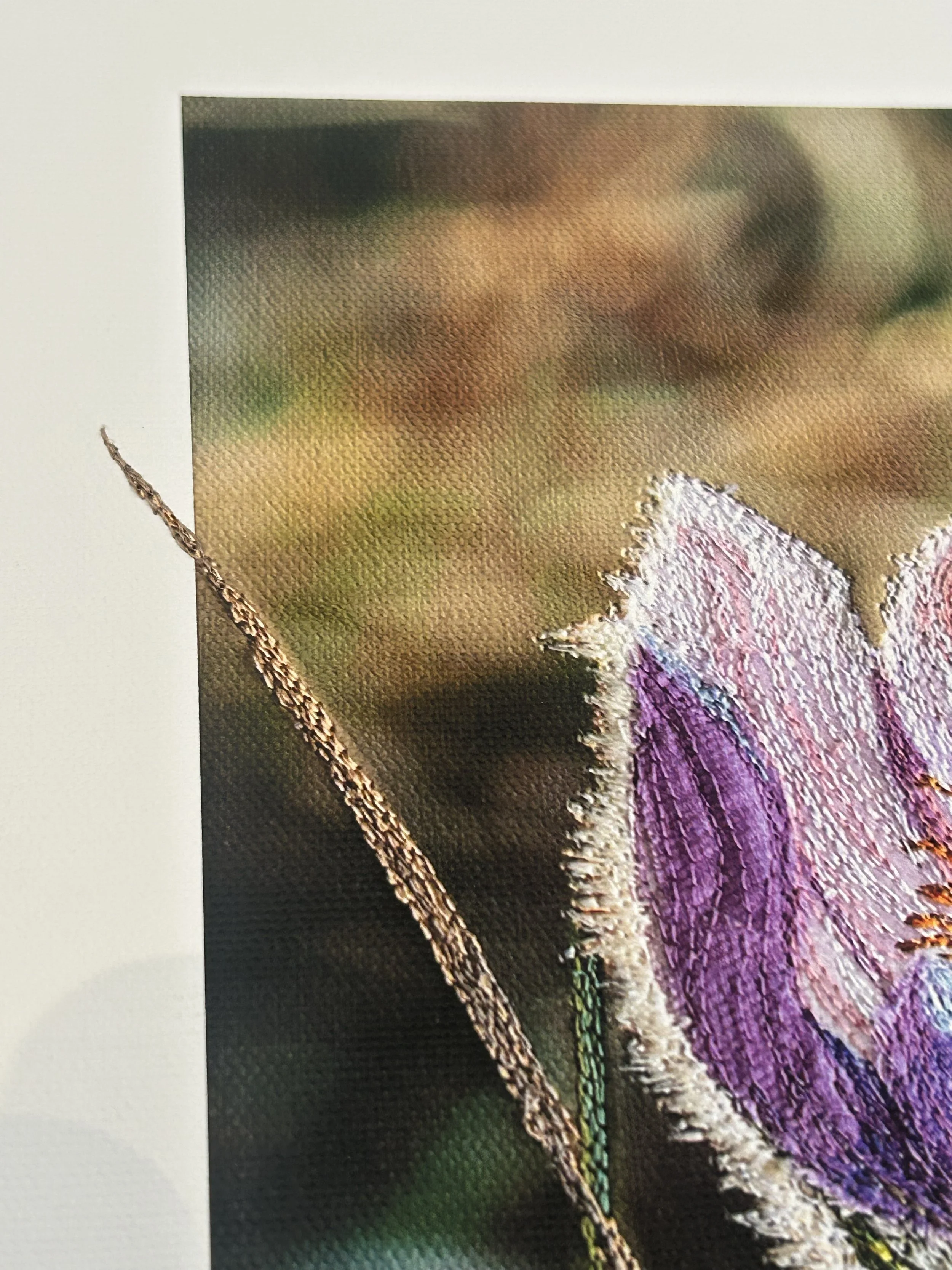 The first three embellishment.jpg